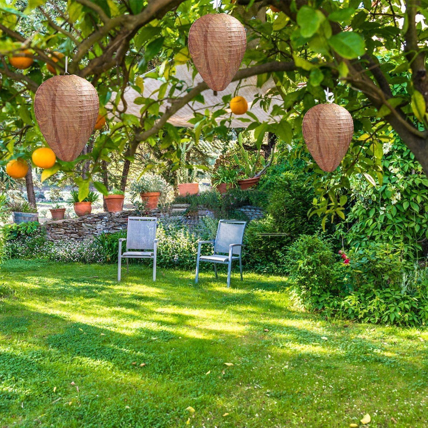 Zwei Stühle in einem sonnendurchfluteten Garten unter einem Baum mit hängenden Laternen und Orangen.
