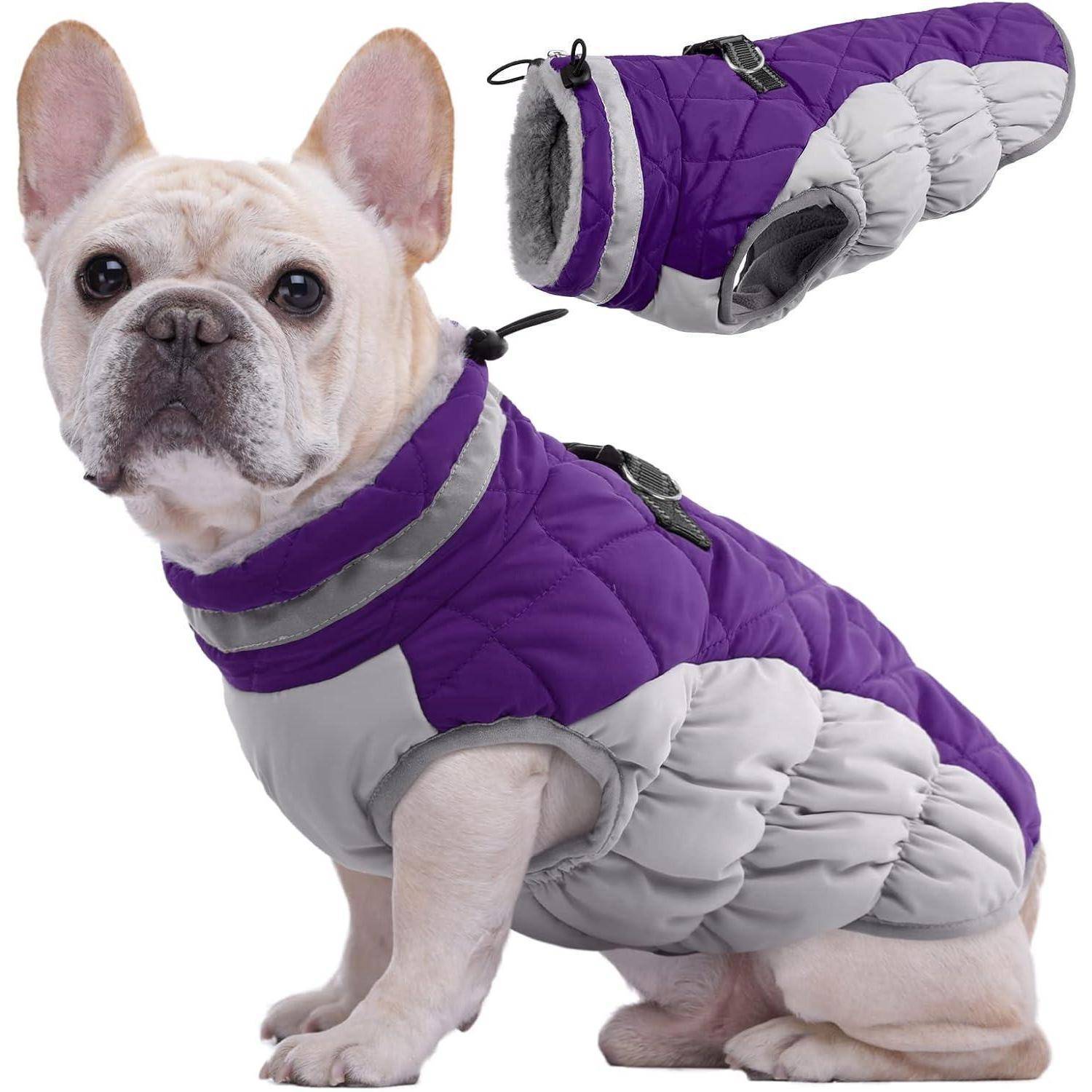 Ein kleiner Hund, der eine violett-graue Steppjacke trägt, mit einer ähnlichen Jacke, die separat daneben gezeigt wird. Der Hund sitzt und blickt geradeaus.