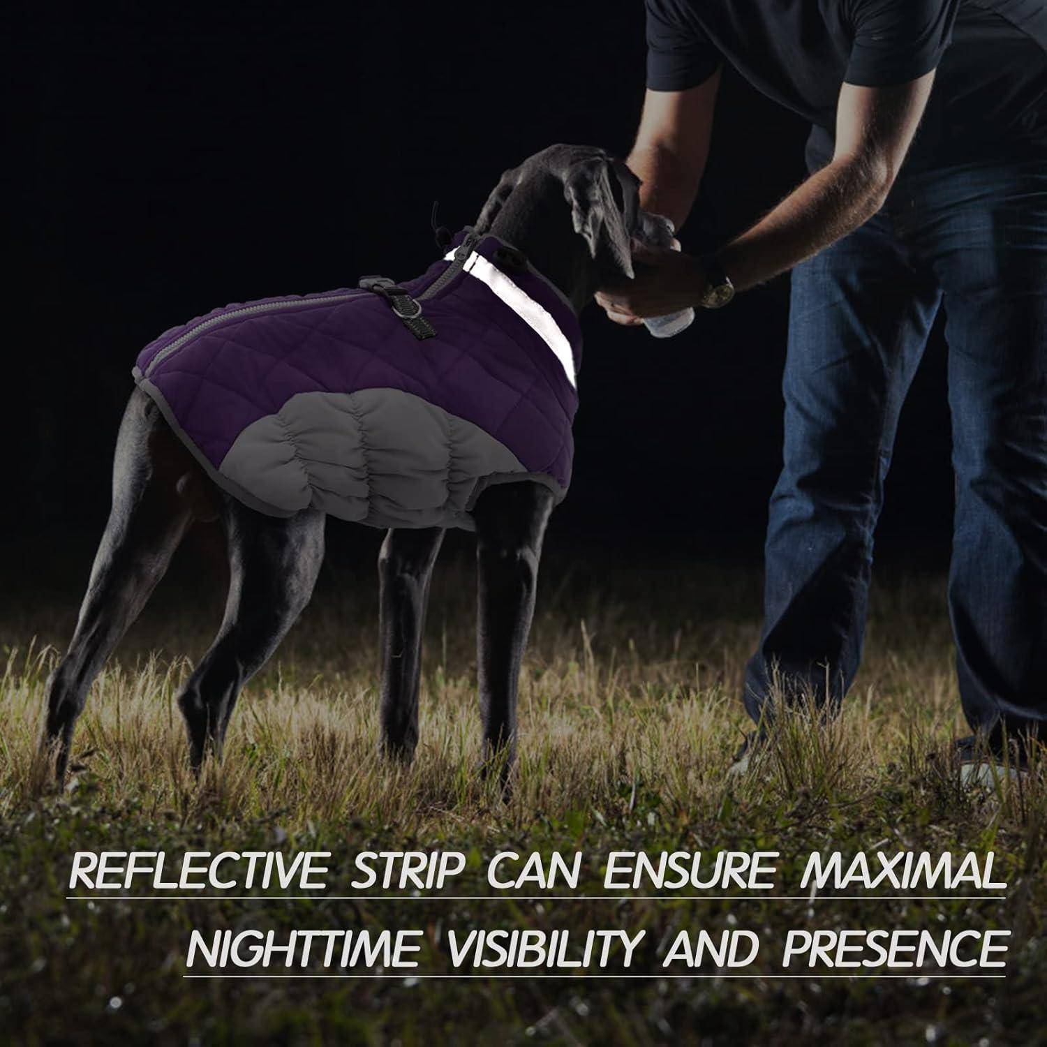 Eine Person hält behutsam den Kopf eines Hundes in der Nacht. Der Hund trägt eine Weste mit einem reflektierenden Streifen, was die erhöhte Sichtbarkeit und Sicherheit betont.