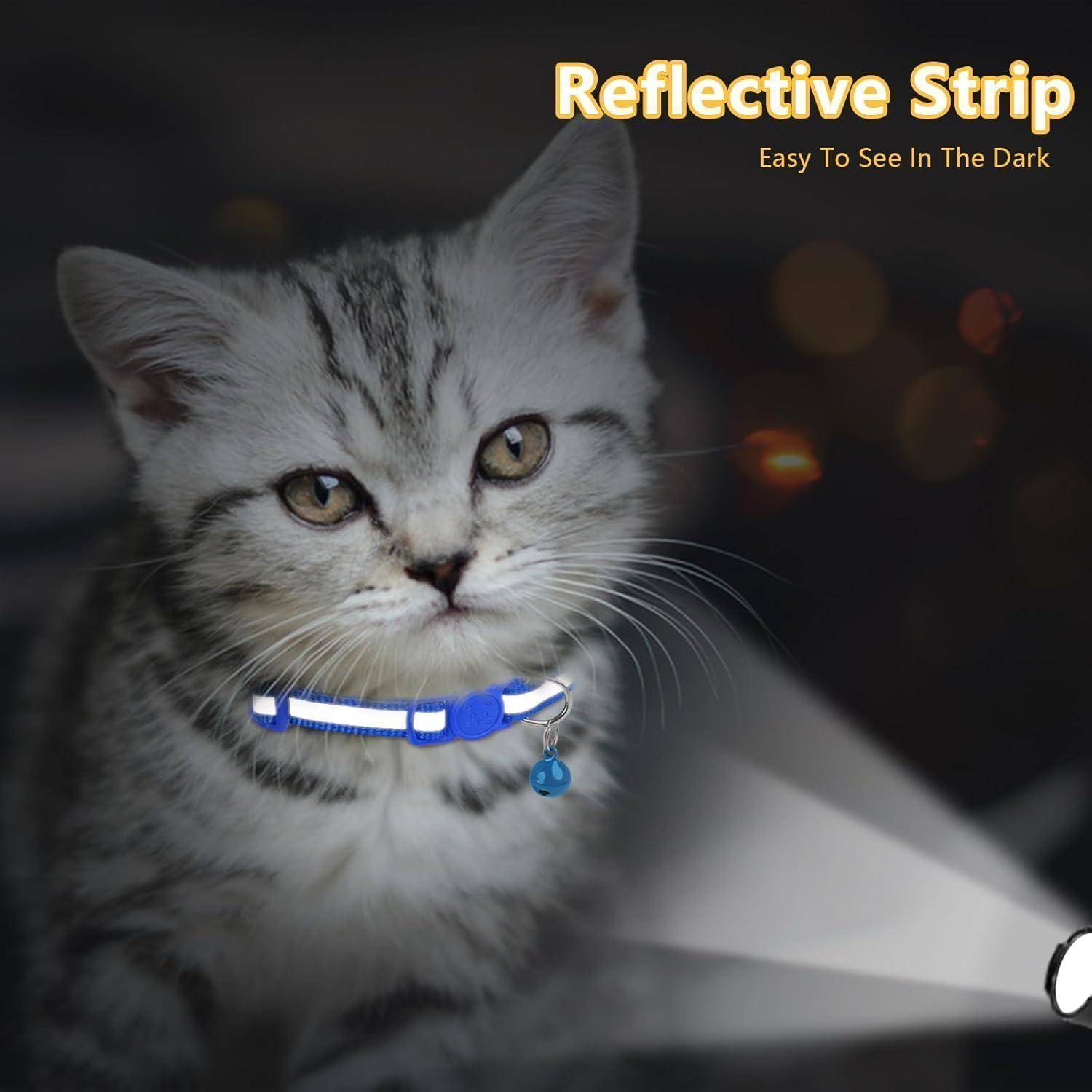 Eine graue Tabbykatze trägt einen reflektierenden Halsband mit einem Anhänger. 'Reflektierender Streifen: In Der Dunkelheit Leicht Zu Sehen' steht oben rechts.