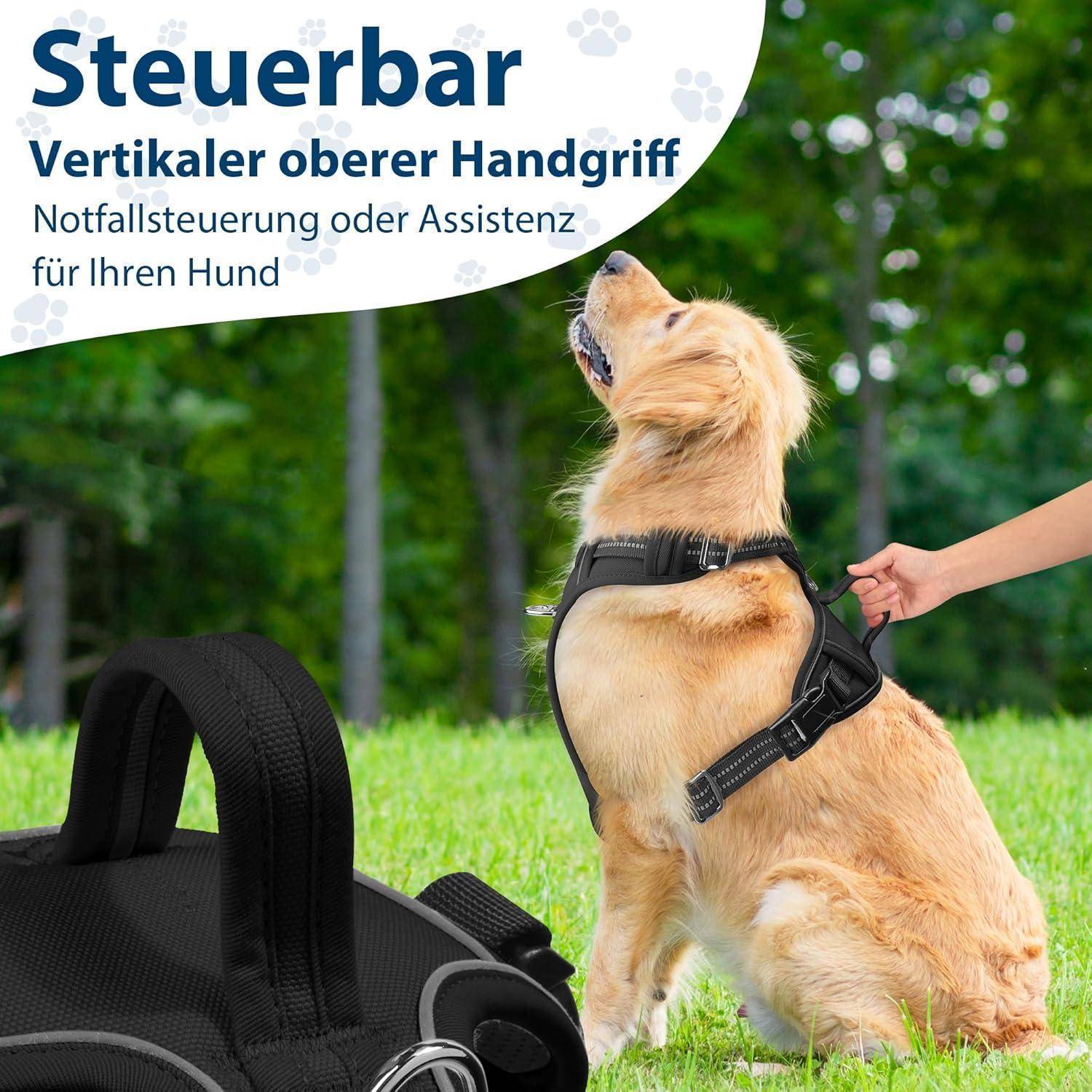Ein Hund, der draußen ein Geschirr trägt, mit Text: Steuerbar - Vertikaler oberer Handgriff. Notfallsteuerung oder Assistenz für Ihren Hund.