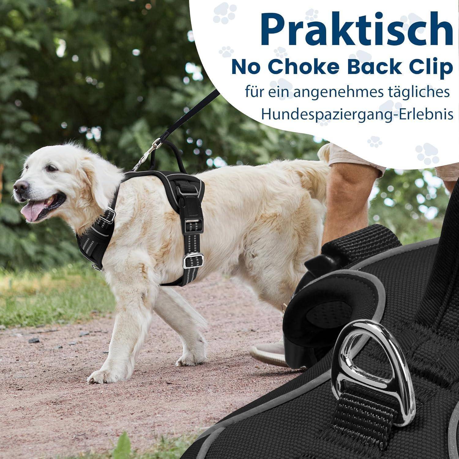 Ein fröhlicher Hund an der Leine läuft neben einer Person, mit deutschem Text, der einen 