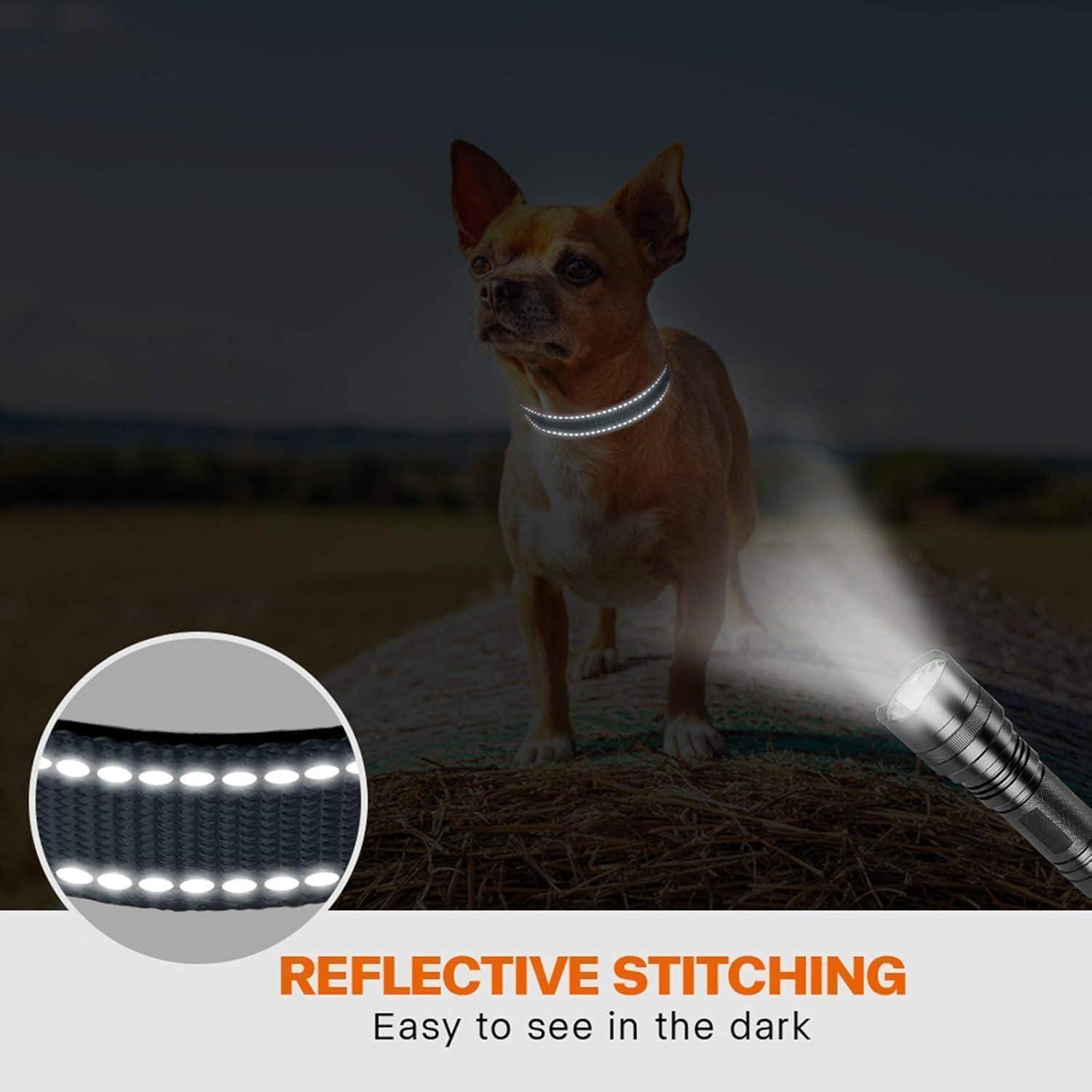 Hundehalsband Neopren verstellbar reflektierend XS (20-30cm) Grau