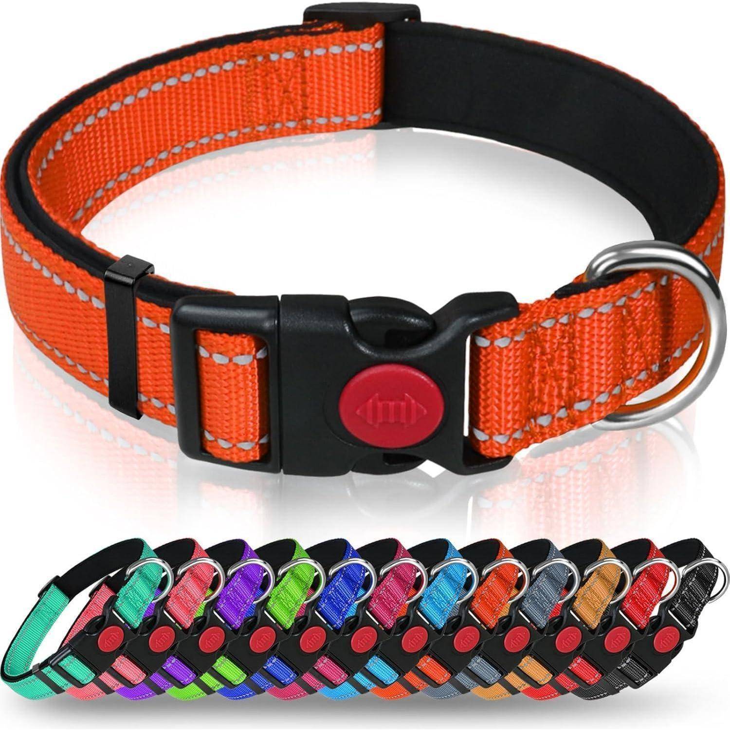 Eine Sammlung von bunten verstellbaren Haustierhalsबändern mit reflektierender Naht, wobei ein orangefarbenes Halsband prominent an der Spitze platziert ist.