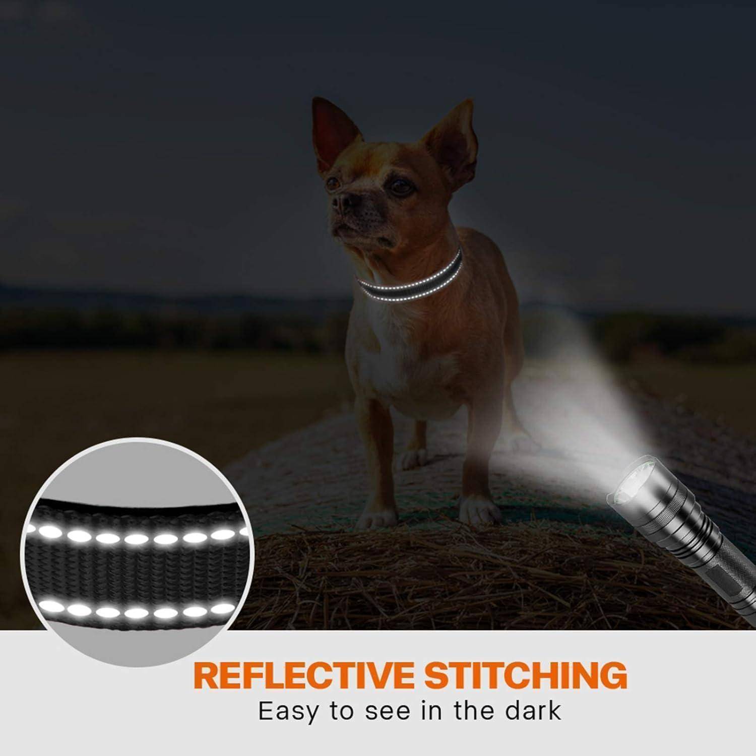Hundehalsband Neopren Verstellbar Reflektierend XS (20-30cm) Schwarz