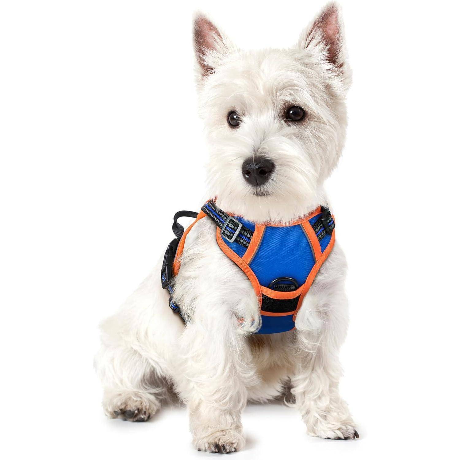 Hundegeschirr Verstellbar No Pull Blau Orange XS 1er Pack
