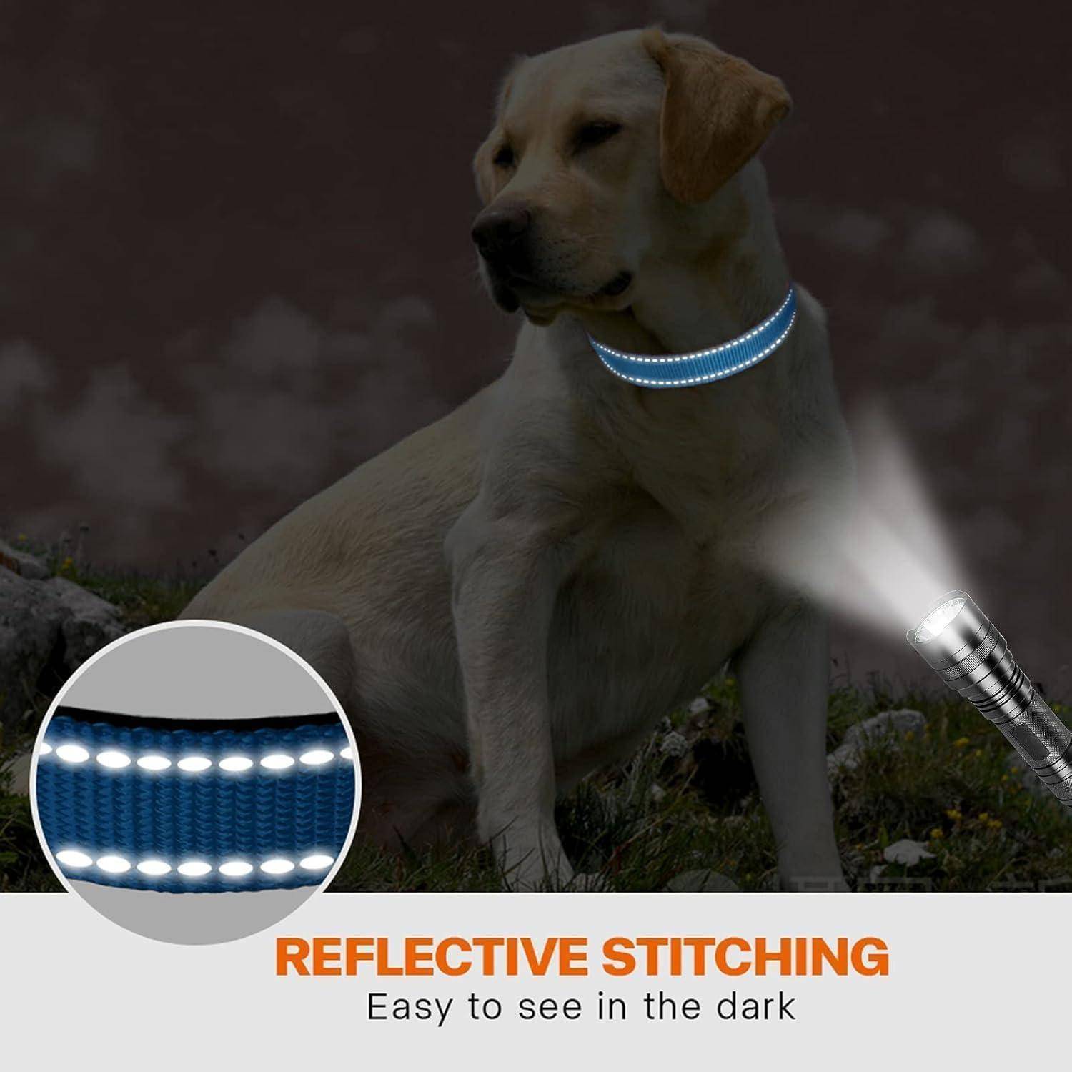 Hundehalsband Neopren Nylon Verstellbar XL (45-70cm) Himmelblau