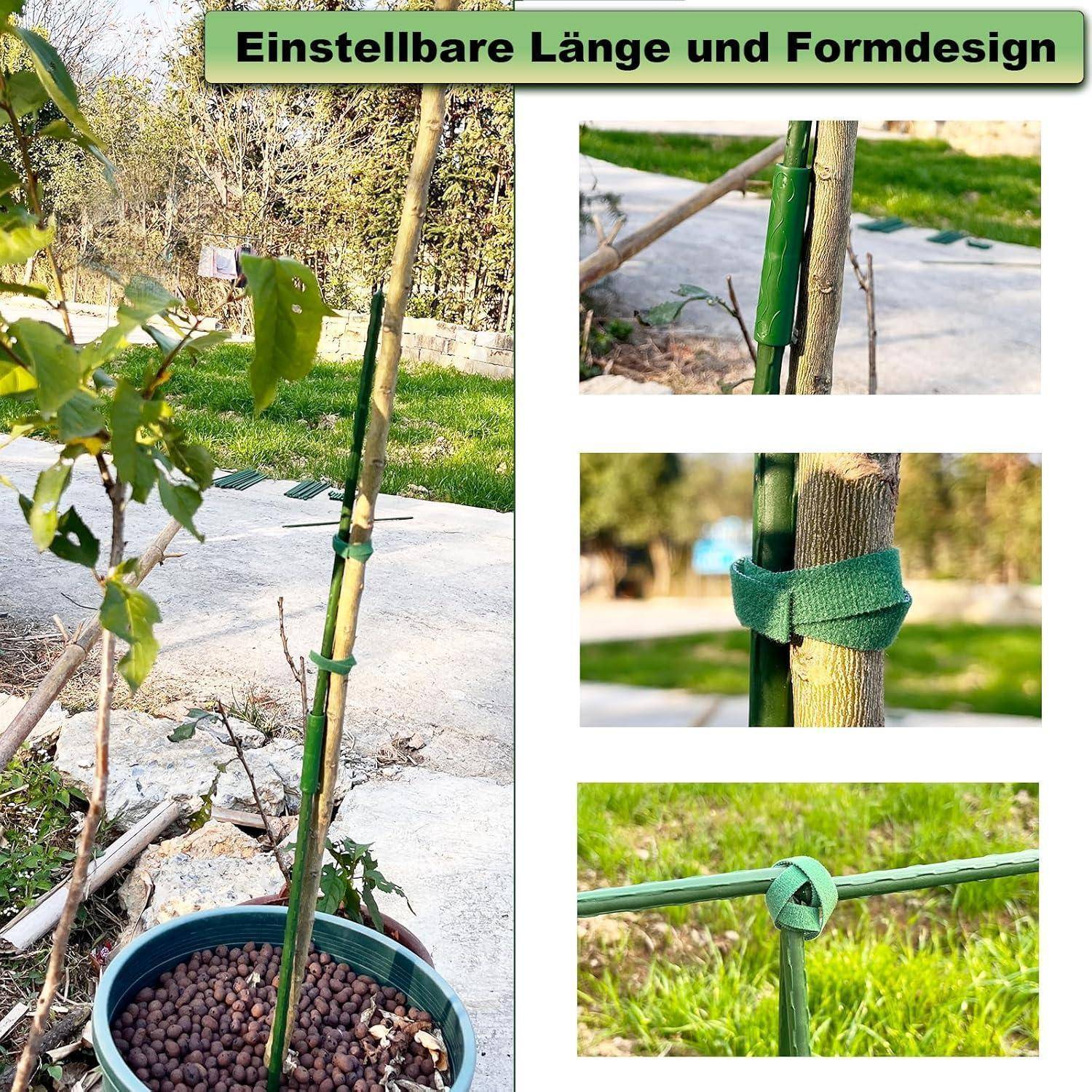 Ein Baumjungbaum, gestützt von einem verstellbaren Pfahl mit einer grünen Bindung, der eine anpassbare Länge und Form zur Gewährleistung der Stabilität veranschaulicht.