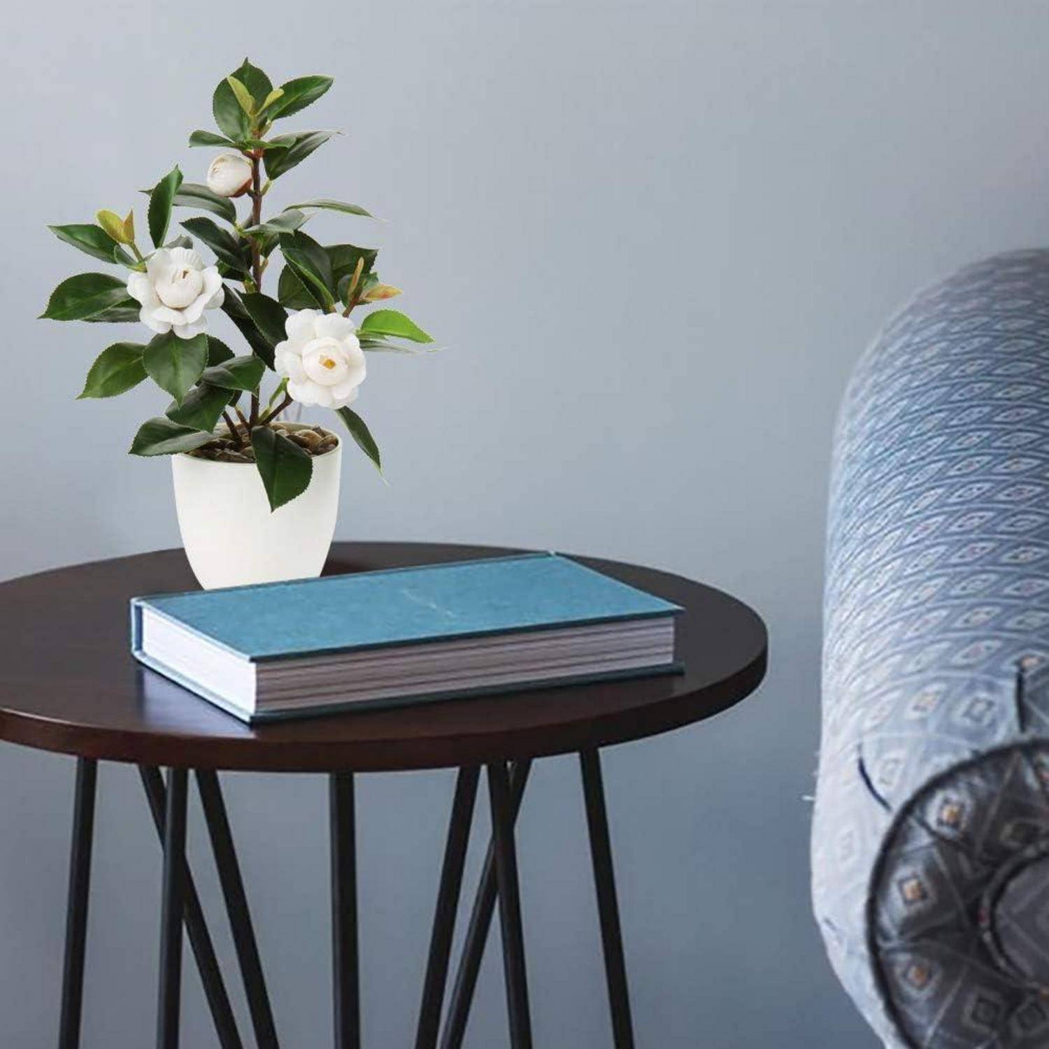 Ein kleiner runder Tisch mit einem blauen Buch und einer Topfpflanze mit weißen Blumen neben einem gemusterten Sofa.