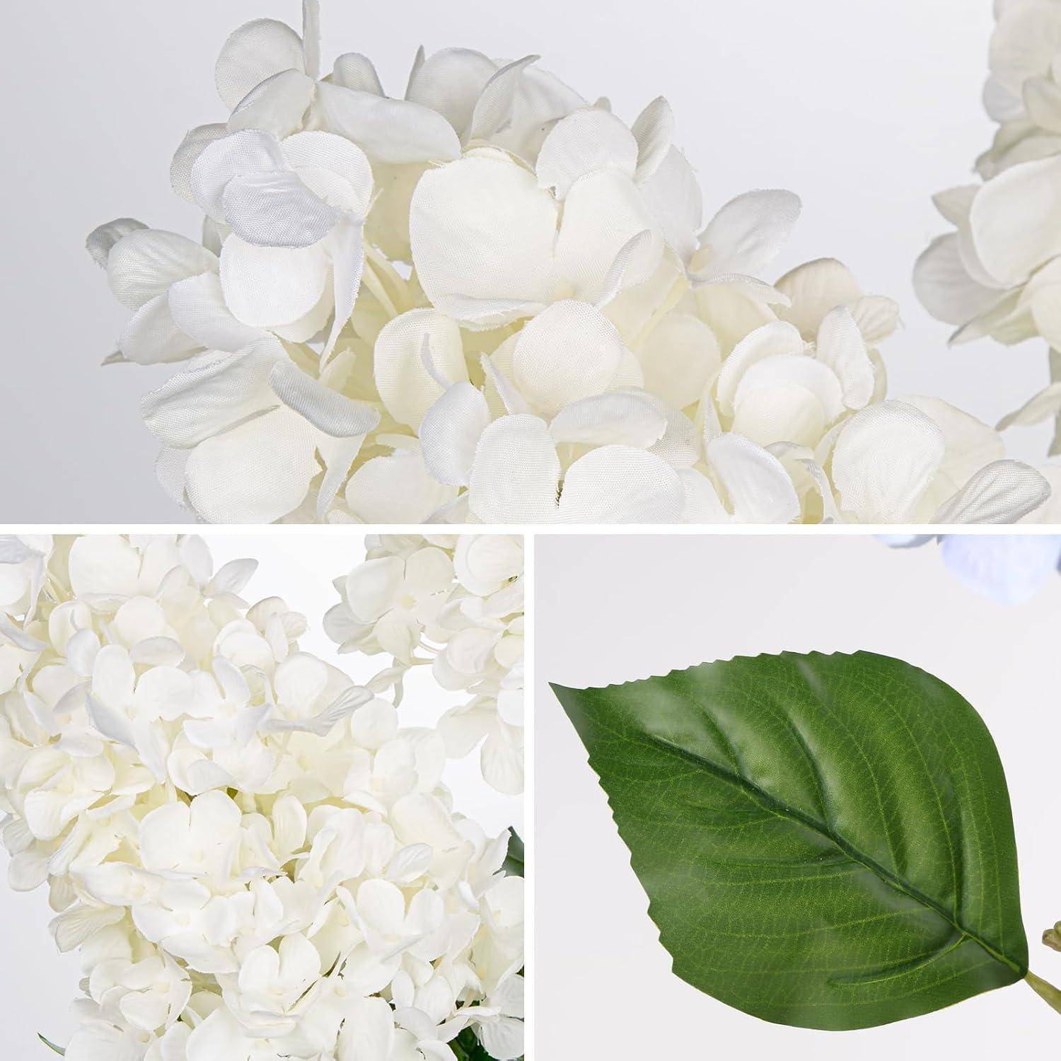 Weiße Hortensienblüten und ein grünes Blatt, die die zarten Blütenblätter und Blattdetails zur Schau stellen.