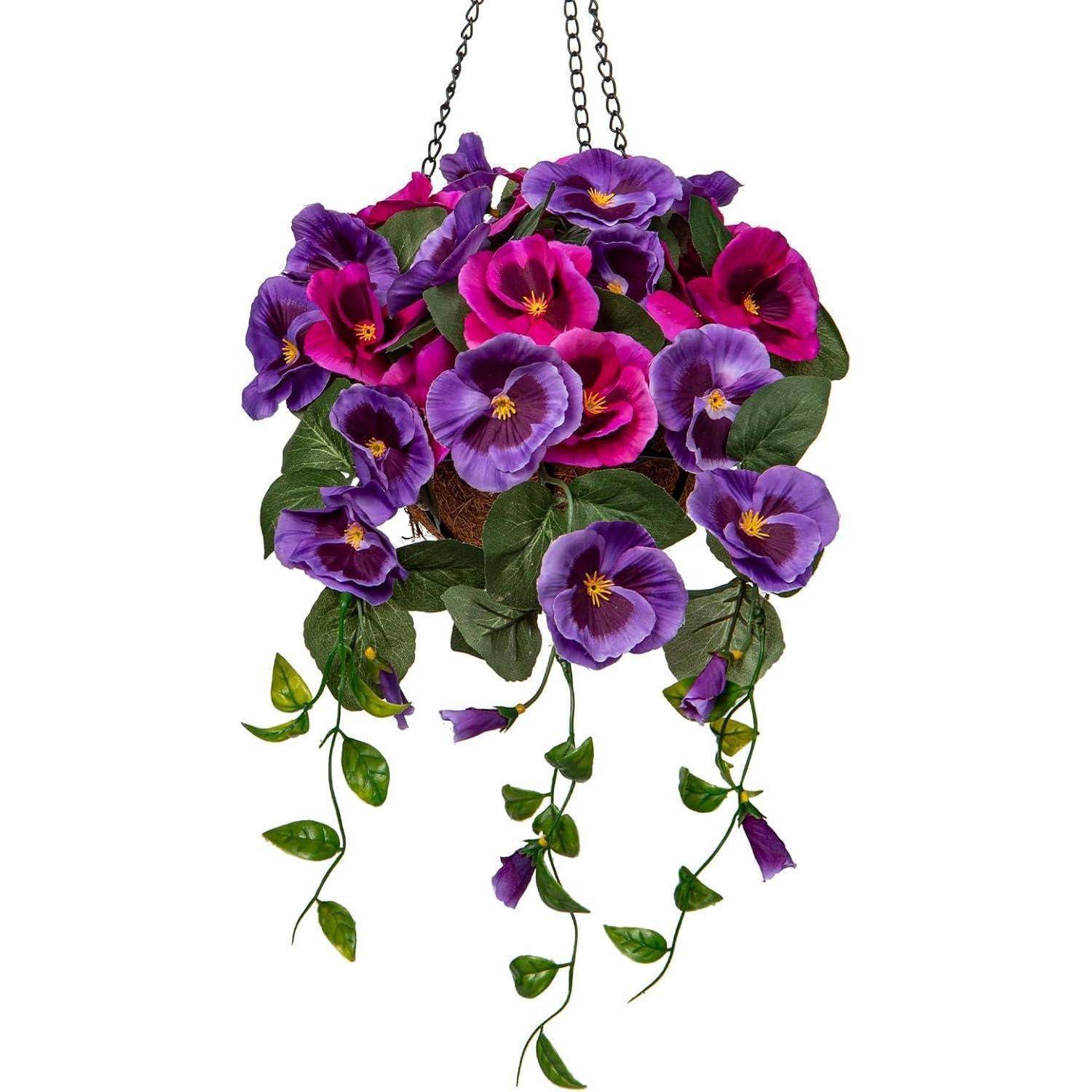 Hängekorb mit leuchtend violetten und magentafarbenen Trichterblumen und grünen Blättern, die nach unten herabhängen.