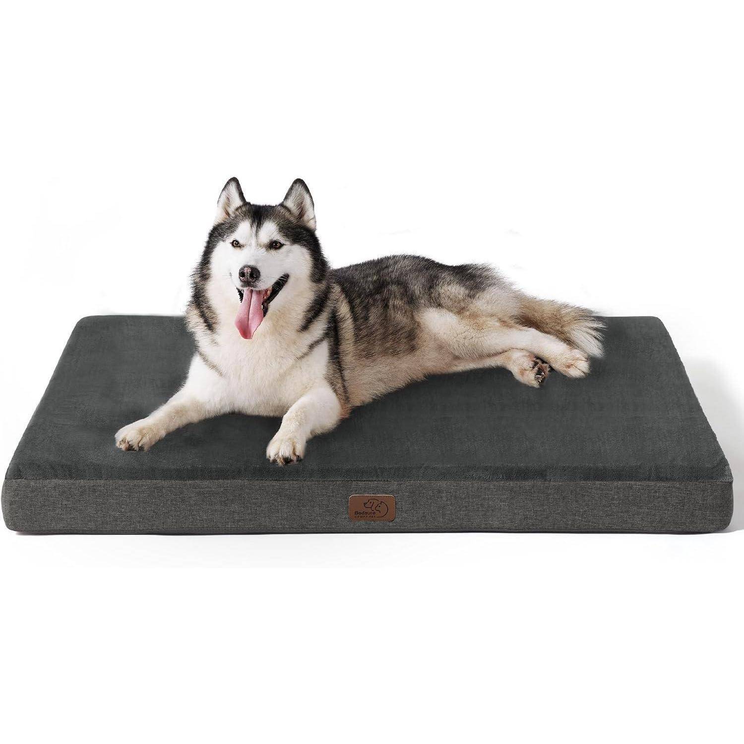 Ein Husky-Hund liegt behaglich auf einem dunkelgrauen Haustierbett mit herausgestreckter Zunge und wirkt entspannt und zufrieden.