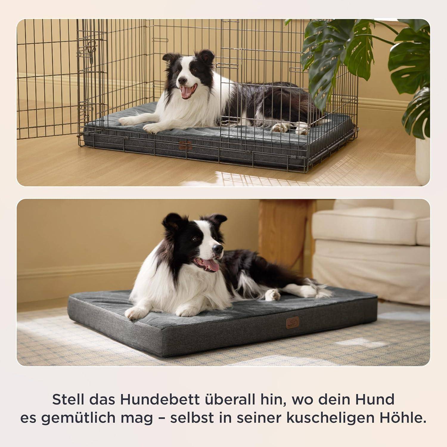 Ein Hund, der auf einem Bett in einem Käfig und auf einem Bett außerhalb liegt, und damit die Flexibilität beim Platzieren des Bettes an einem Ort zeigt, an dem sich der Hund wohlfühlt.