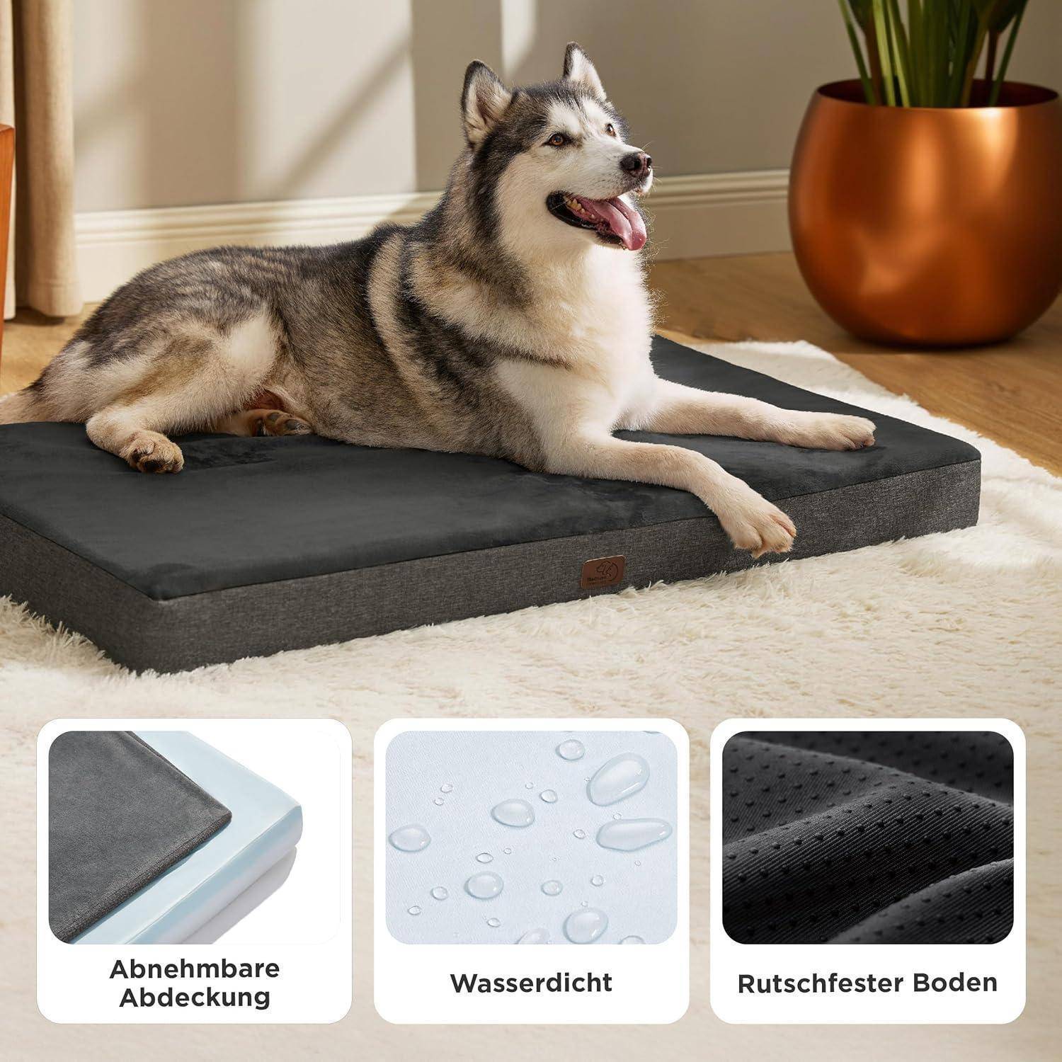 Ein Husky, der auf einem grauen Hundebett liegt. Einblendungen zeigen Merkmale: abnehmbarer Bezug, wasserdichte Oberfläche, rutschfeste Unterseite.