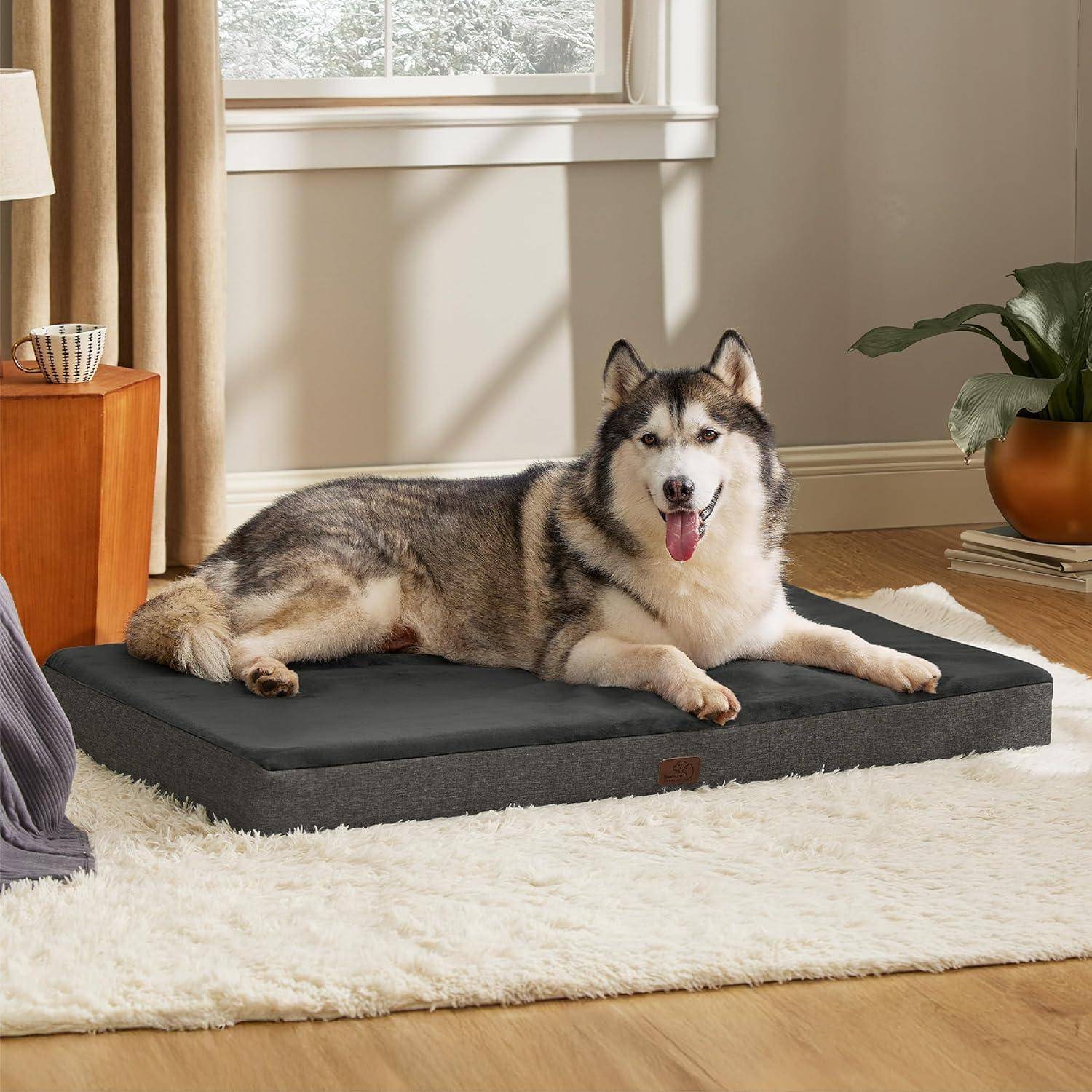 Ein Hund ruht zufrieden auf einer gemütlichen Matte in einem sonnendurchfluteten Wohnzimmer, neben einem kleinen Holztisch und einer Zimmerpflanze, und schafft eine friedvolle Szene.