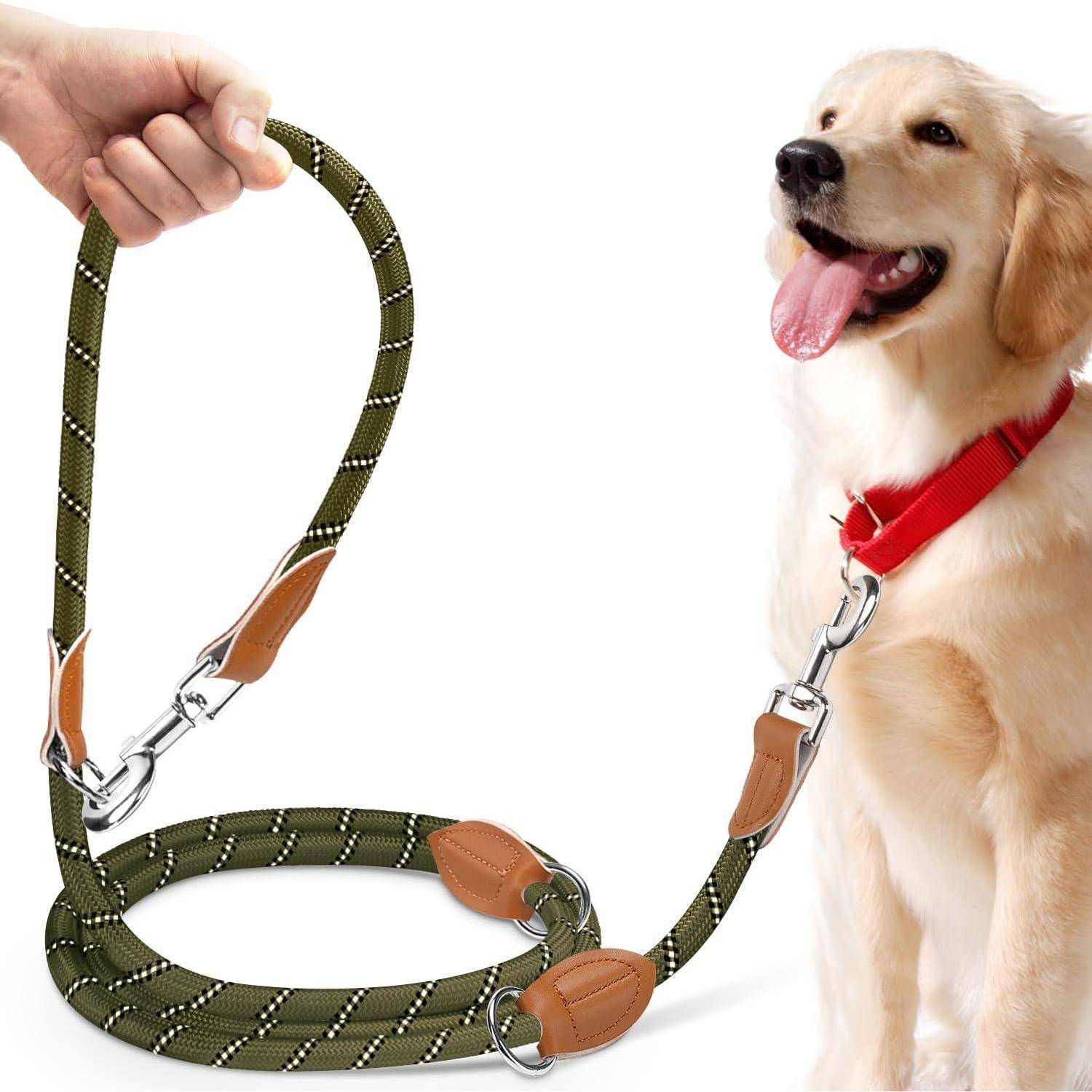 Ein fröhlicher Golden Retriever mit einem roten Halsband wird von einer Hand gehalten, die eine Leine mit grüner Farbe und braunen Lederakzenten umfasst.
