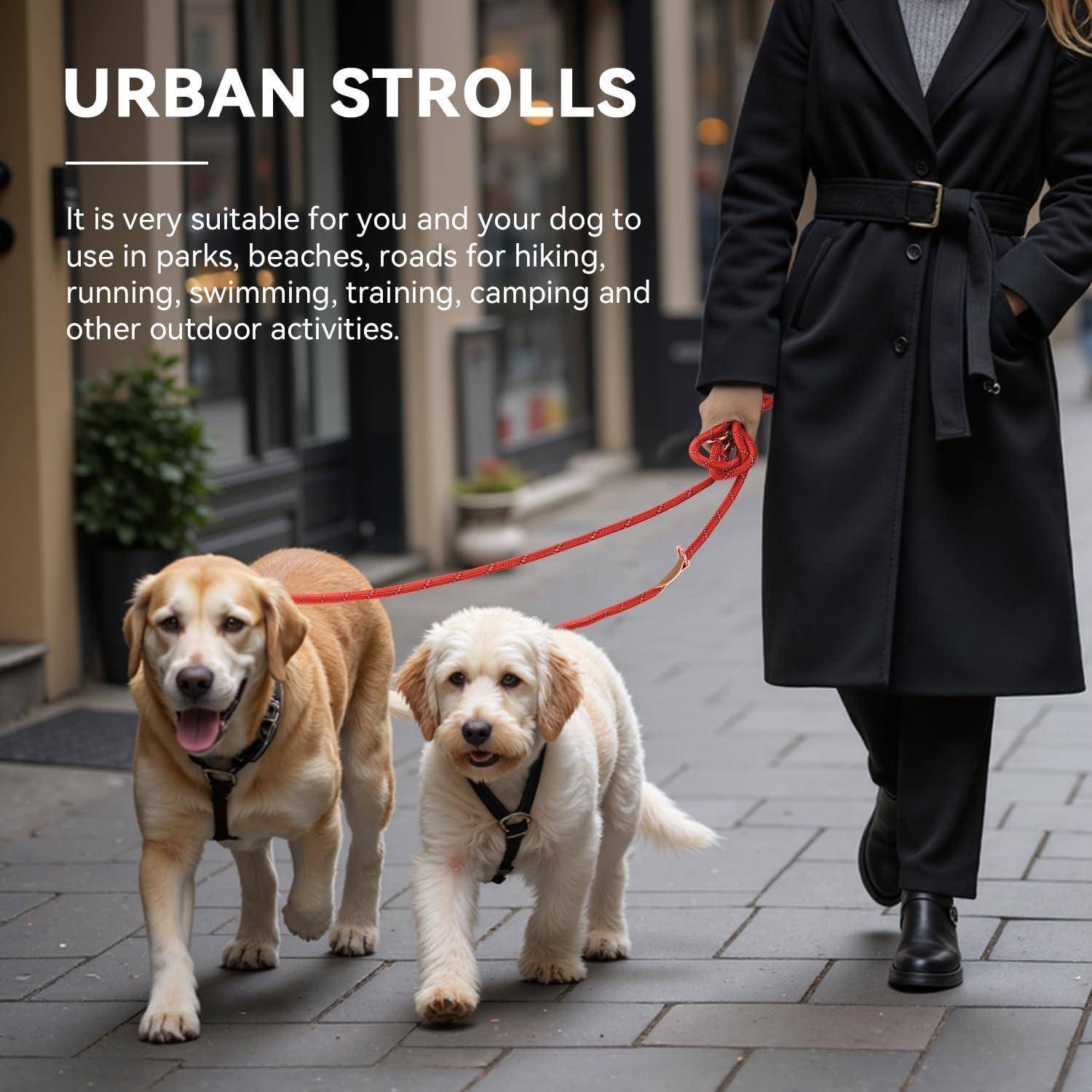 Eine Person in einem schwarzen Mantel führt zwei Golden Retriever auf einer Stadtstraße spazieren. Text lautet: ‚Urbane Spaziergänge' mit Details zu geeigneten Outdoor-Aktivitäten.