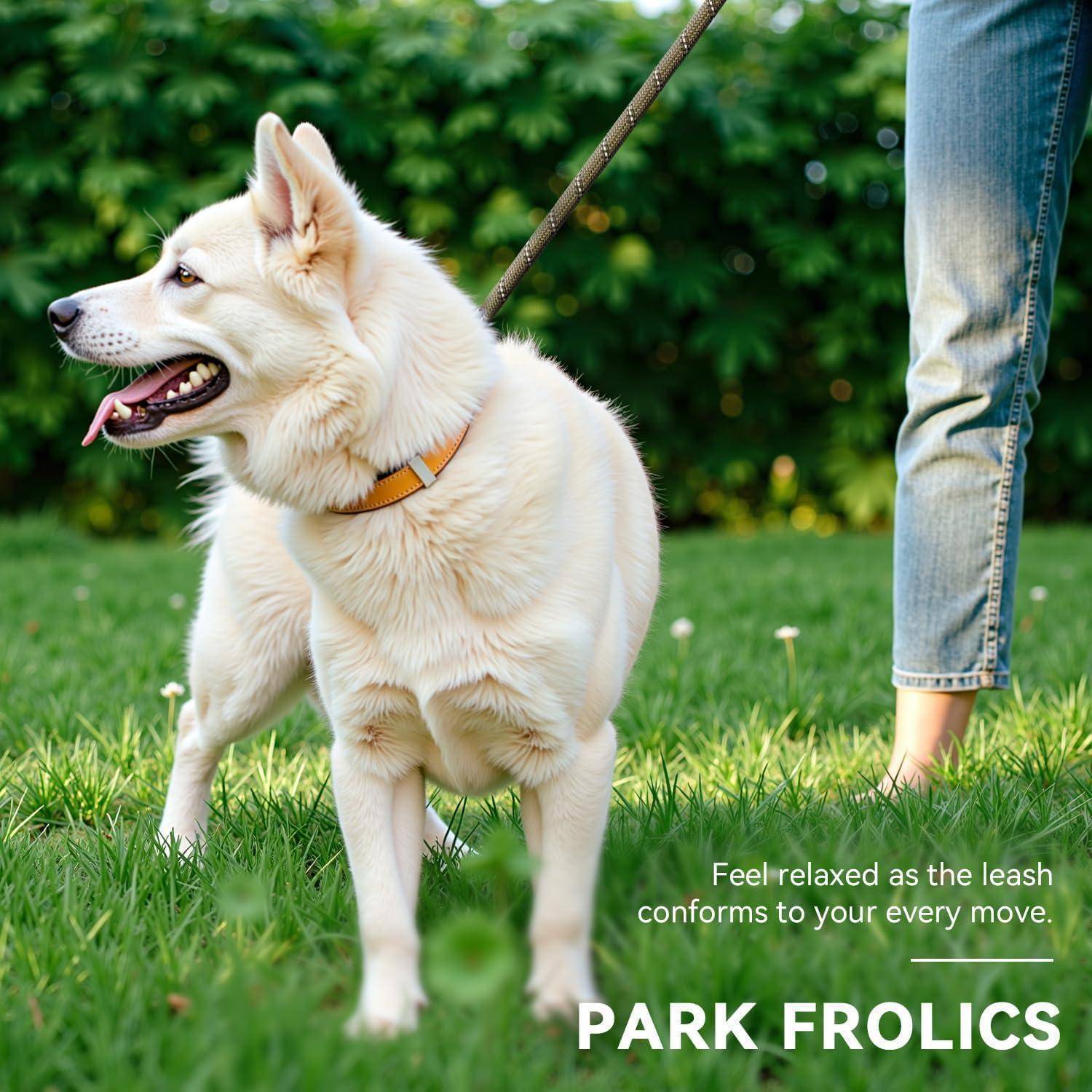 Ein weißer Hund an der Leine steht auf Gras neben einer Person. Der Hintergrund zeigt grünes Laub. Der Text lautet: „Fühlen Sie sich entspannt, während sich die Leine jeder Ihrer Bewegungen anpasst. PARK-AUSFLÜGE