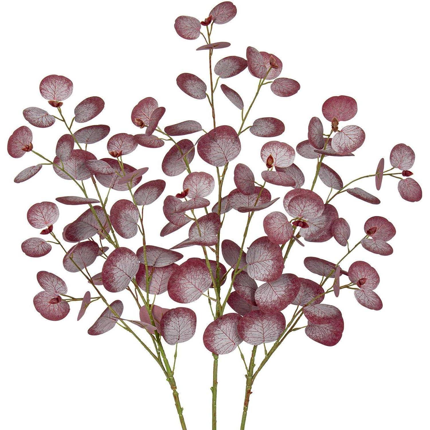 Violette Eukalyptuszweige mit runden, strukturierten Blättern, vor einem weißen Hintergrund präsentiert.