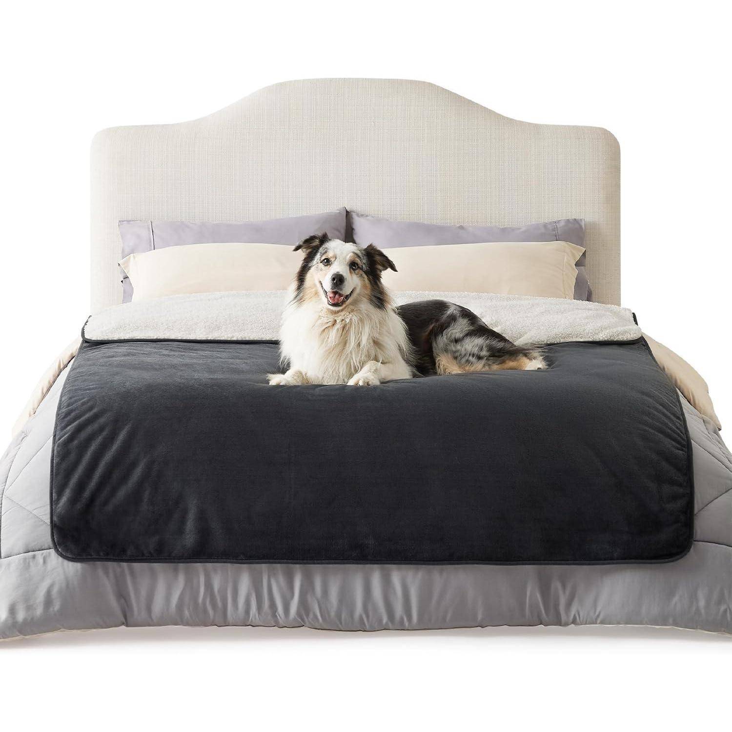 Ein Hund, der auf einem ordentlich gemachten Bett mit weißer und grauer Bettwäsche liegt, vor einem hellgefärbten Kopfteil.