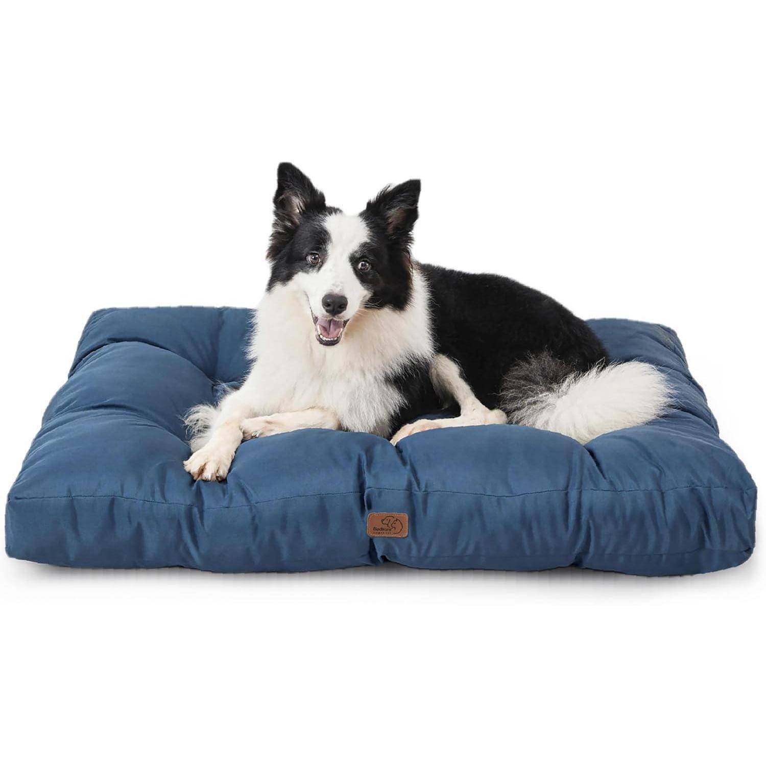 Ein schwarz-weißer Hund liegt gemütlich auf einem großen, blauen Tierbett und wirkt zufrieden und entspannt, mit leicht herausgestreckter Zunge.