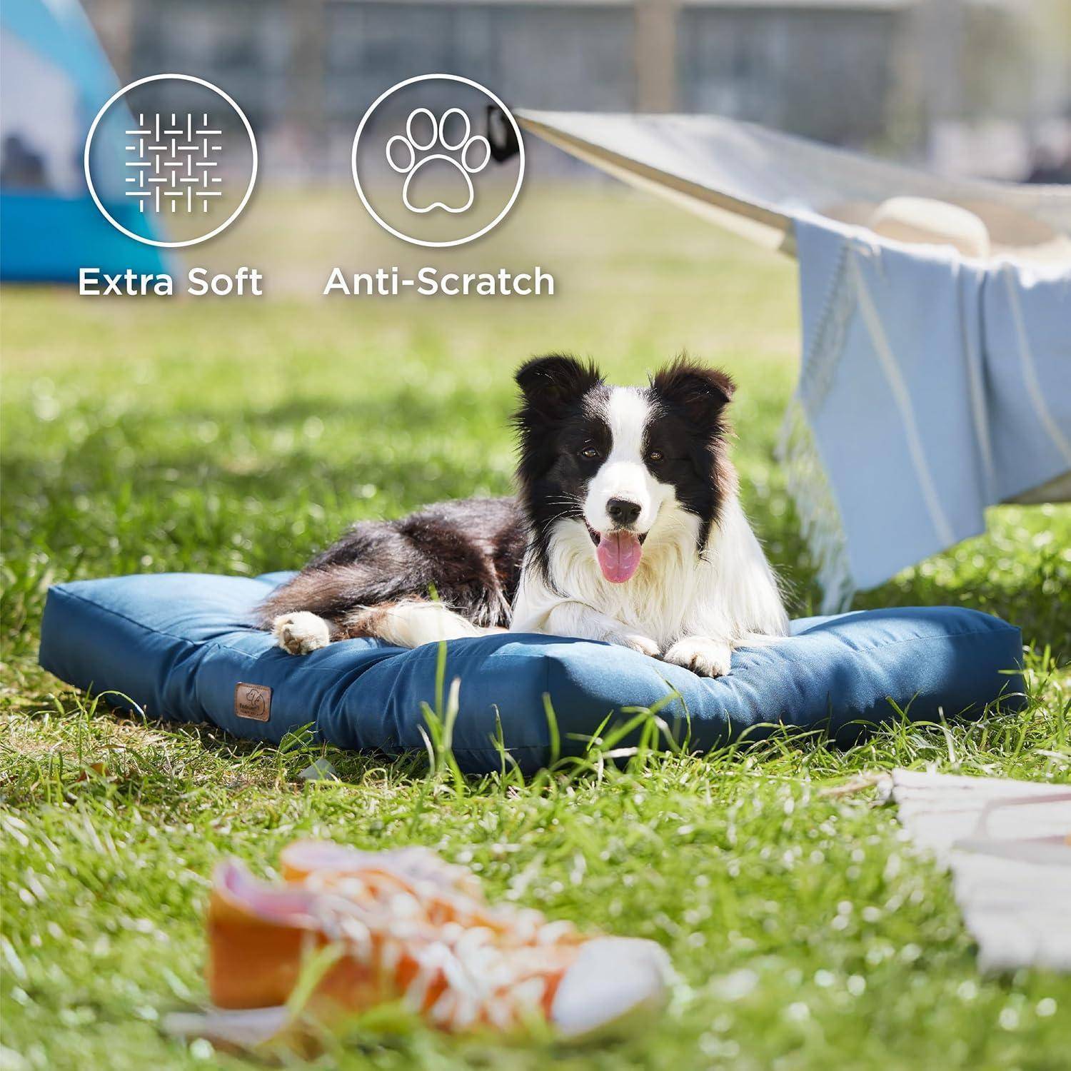 Ein Hund, der auf einem blauen Kissen draußen auf Gras liegt. Symbole zeigen, dass das Kissen 