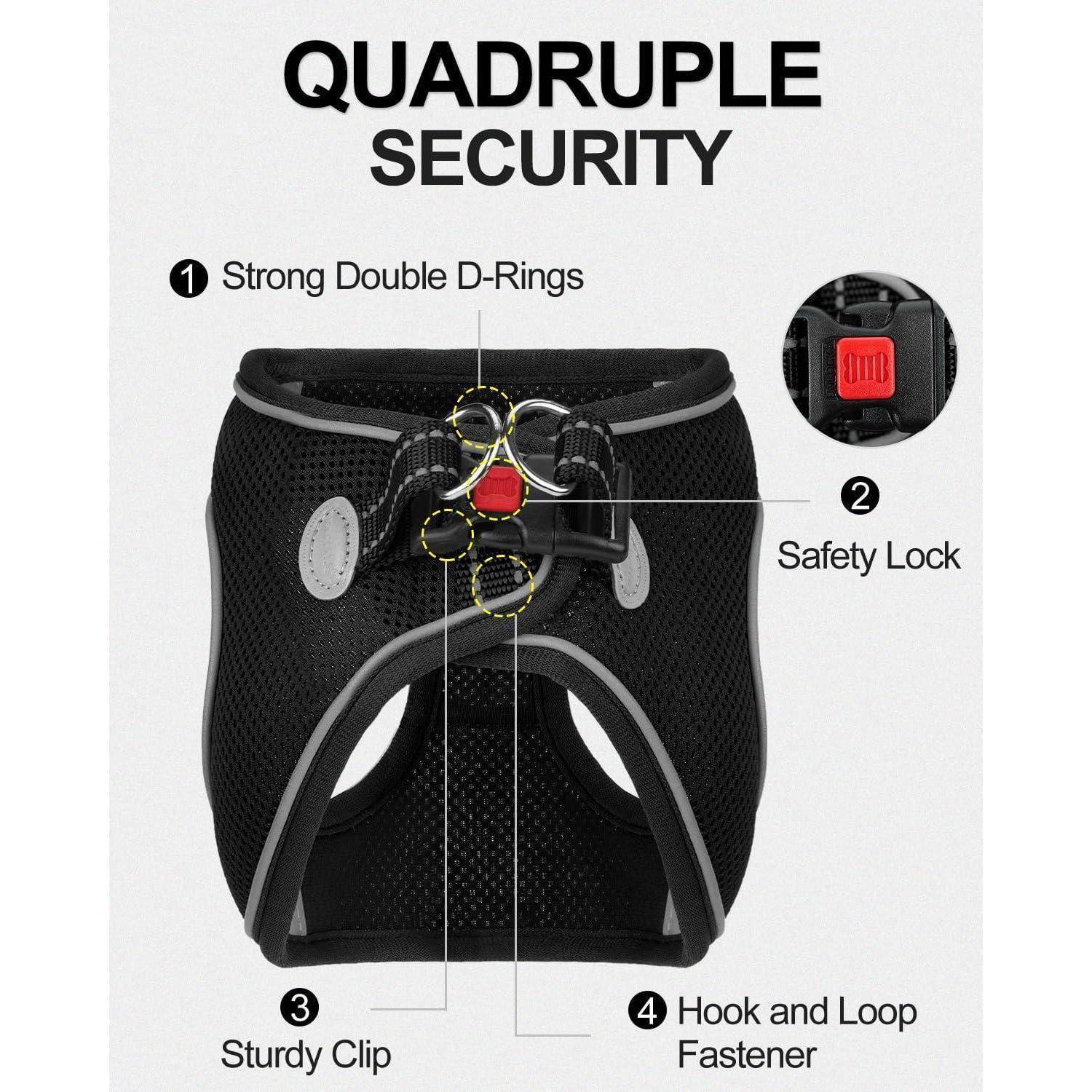Quadruple Security' Geschirr mit Etiketten: 1) Starke doppelte D-Ringe, 2) Sicherheitsverriegelung, 3) Robuster Clip, 4) Klett-Verschluss.