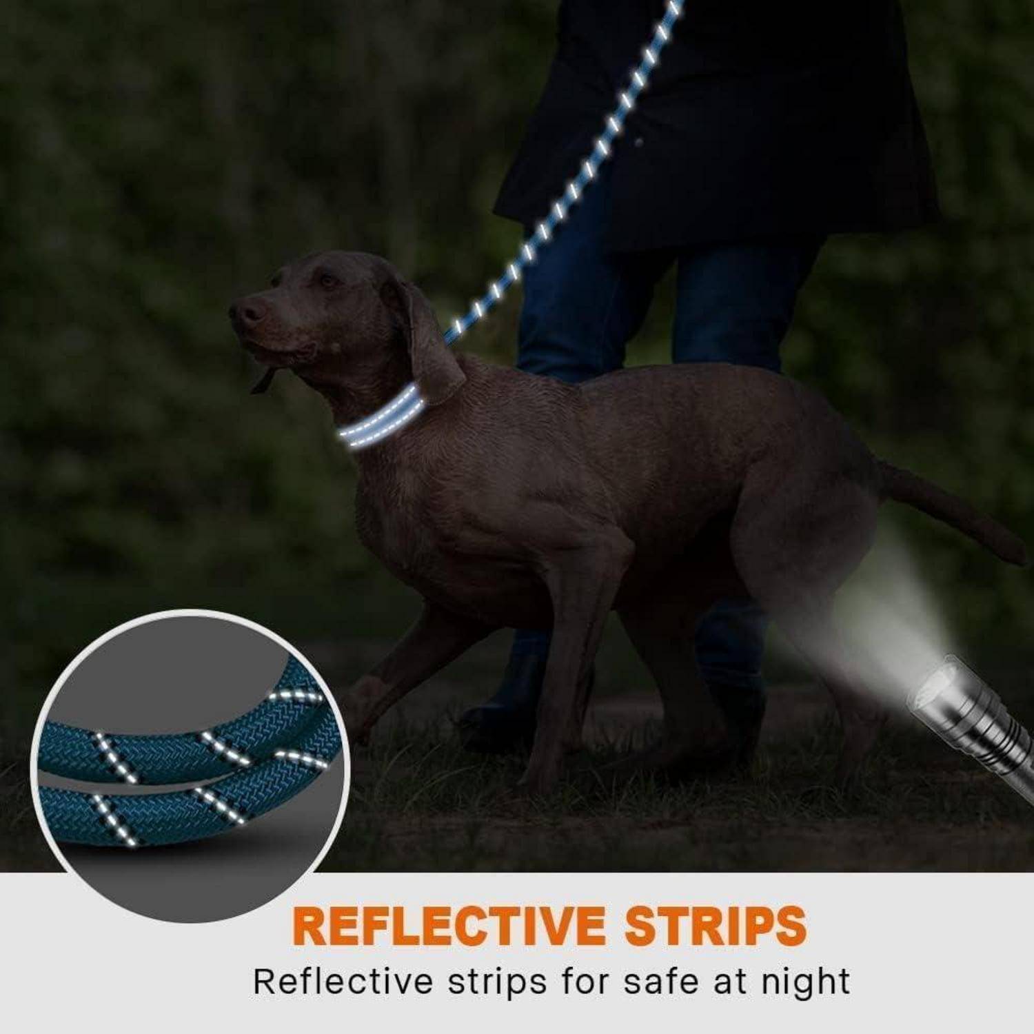 Ein Hund mit einem Halsband mit reflektierenden Streifen läuft nachts mit einer Person und verbessert dadurch die Sichtbarkeit. Eine Detailaufnahme des Halsbands ist eingefügt.