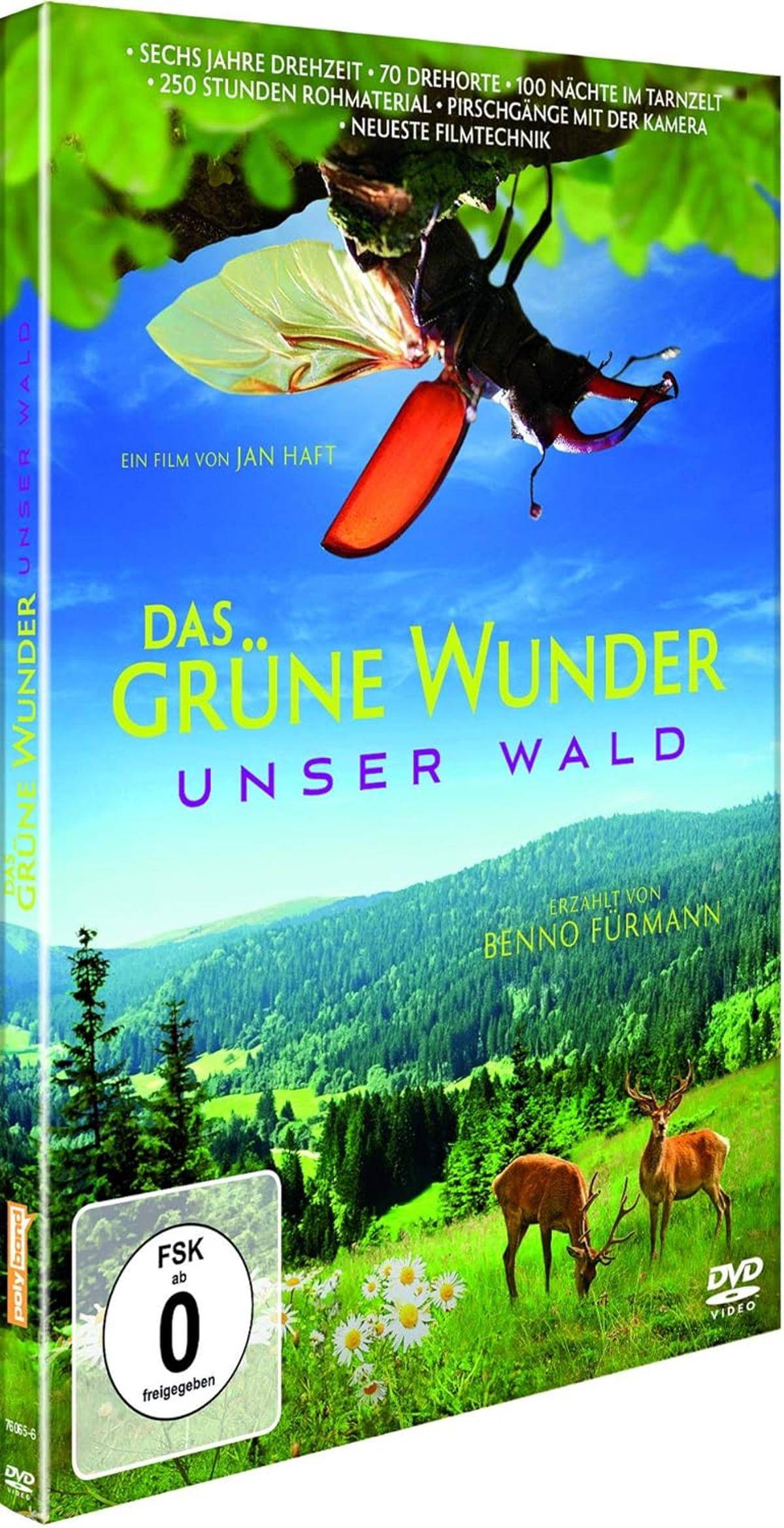 Das grüne Wunder - Unser Wald