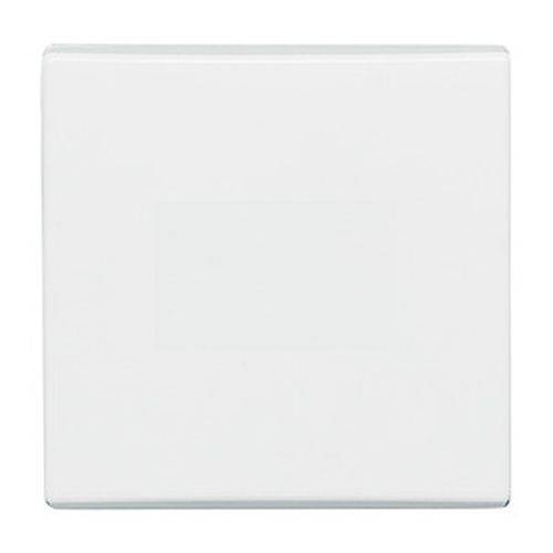 Wippe AW44 Wechselschalter 2106-34