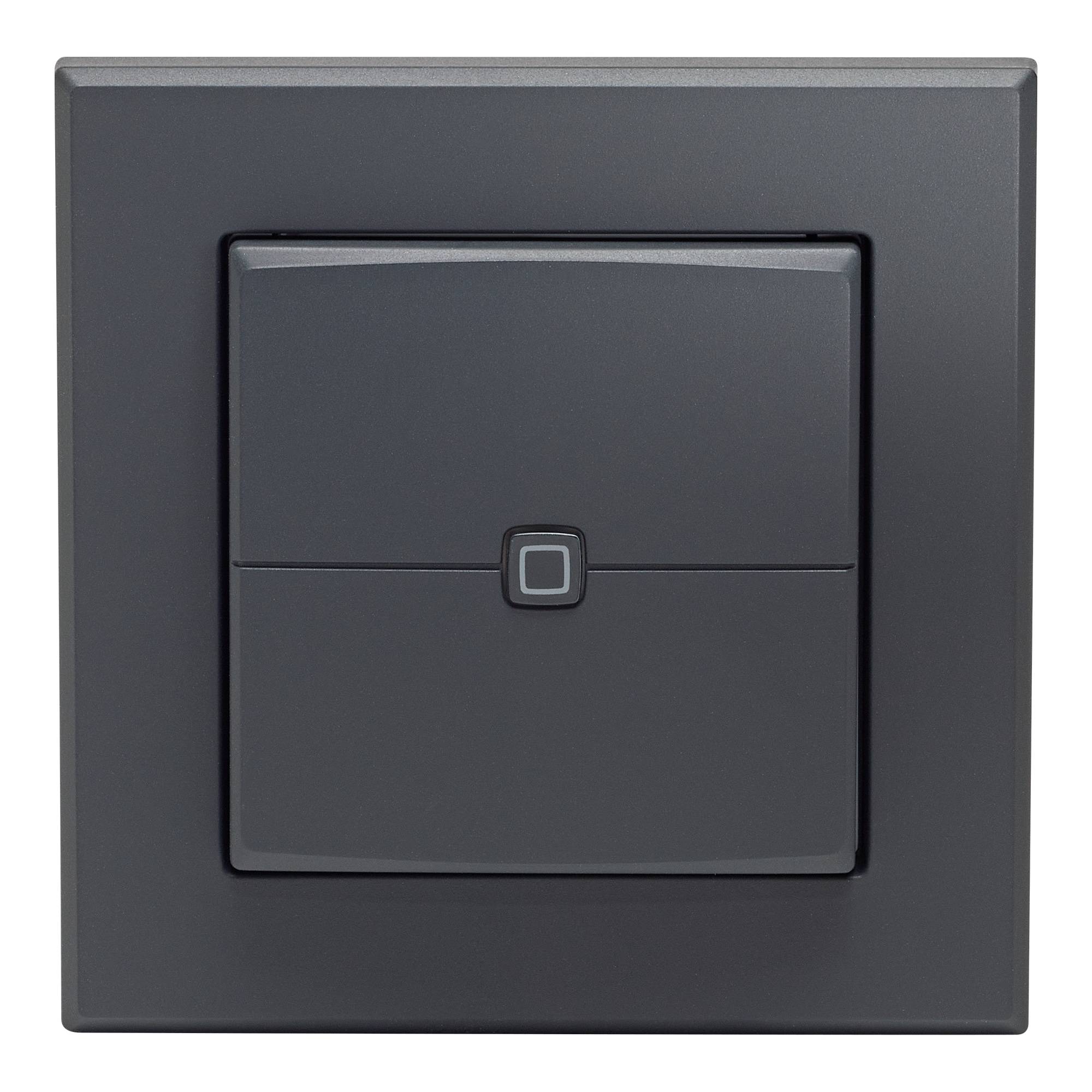 HOMEMATIC IP 161869A0 Wandtaster 2-fach anthrazit