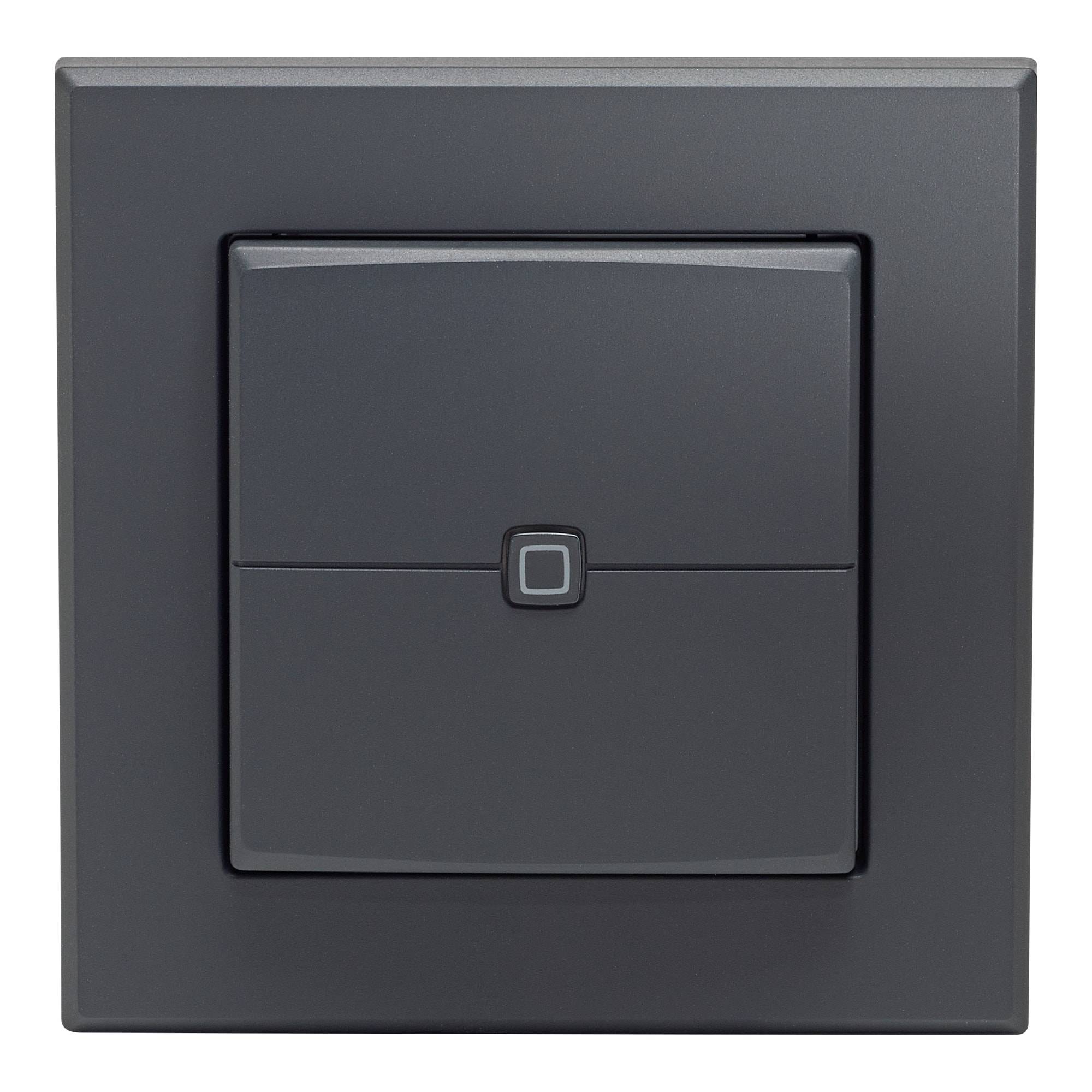 HOMEMATIC IP 161869A0 Wandtaster 2-fach anthrazit