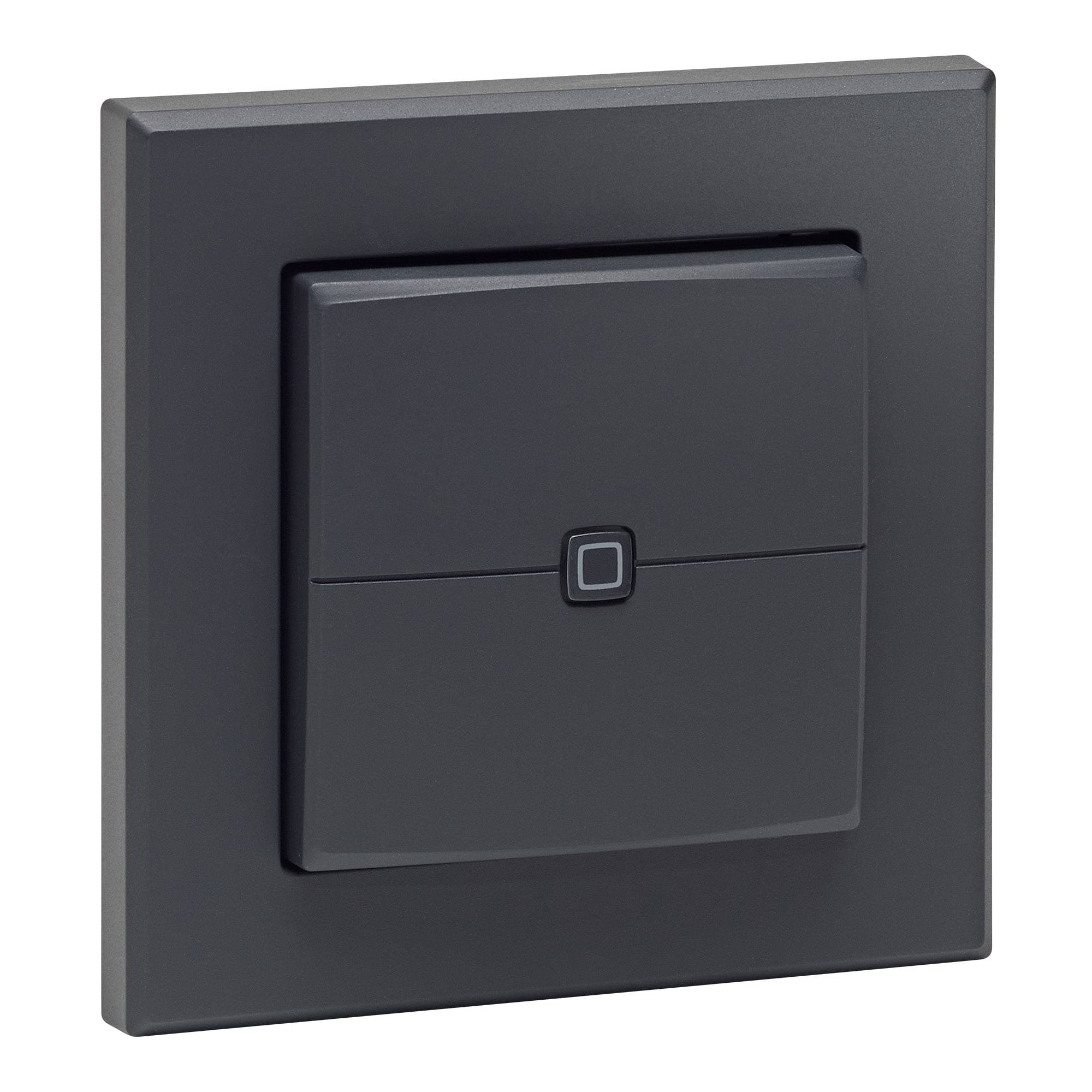 HOMEMATIC IP 161869A0 Wandtaster 2-fach anthrazit