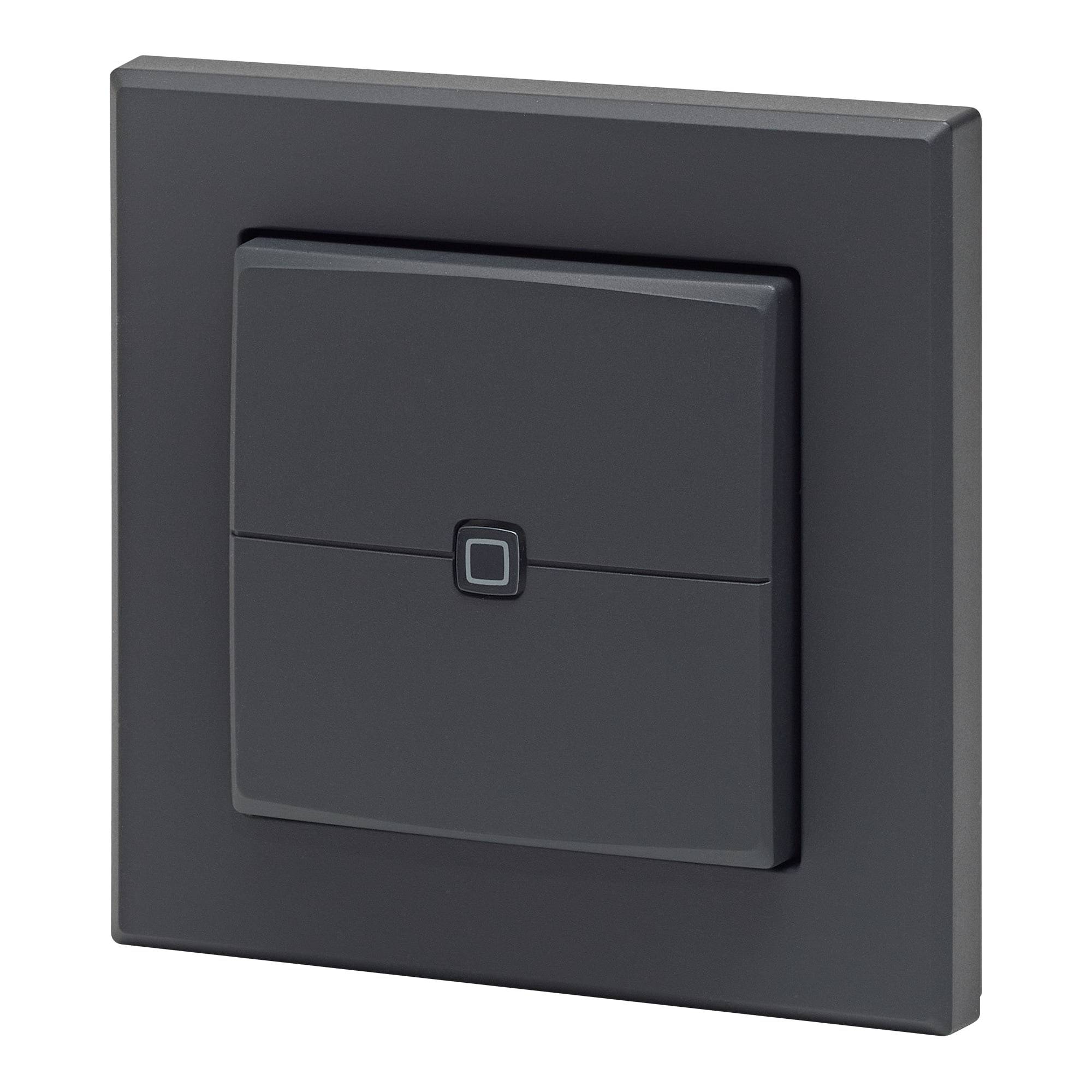 HOMEMATIC IP 161869A0 Wandtaster 2-fach anthrazit
