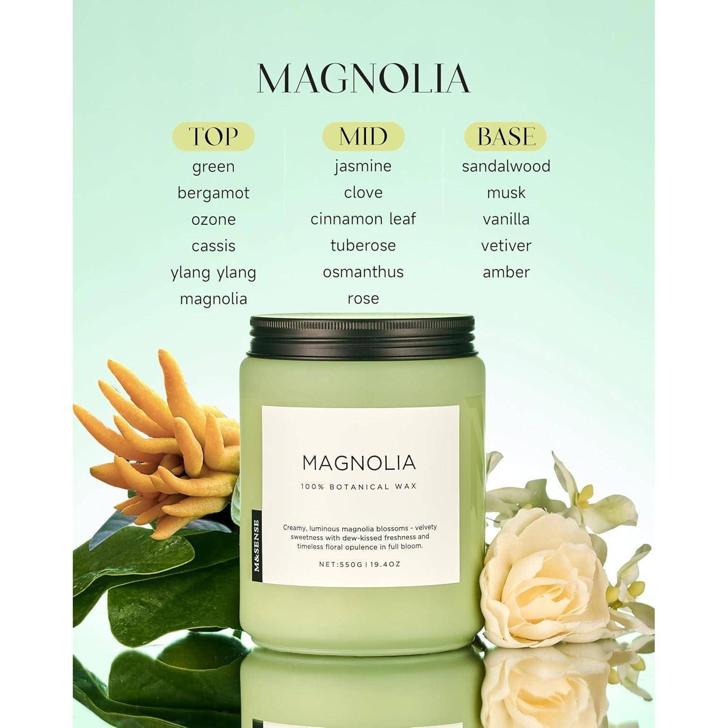 Eine Kerze mit der Aufschrift ‚Magnolia 100% Botanisches Wachs' mit Noten von Grün, Jasmin, Sandelholz und mehr, die inmitten von Magnolienblüten platziert ist.
