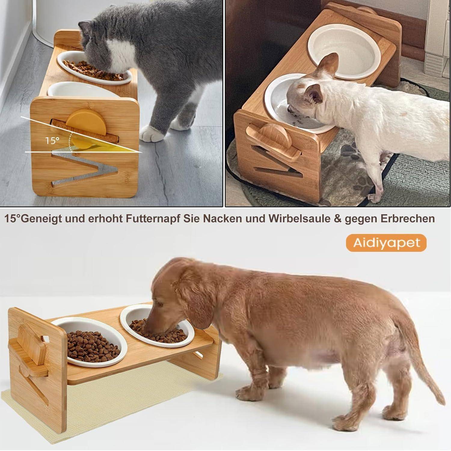 Ein kleiner Hund frisst von einer erhöhten Holz-Futterstelle. Die Illustration zeigt eine 15-Grad-Neigung für bessere Verdauung und Körperhaltung.