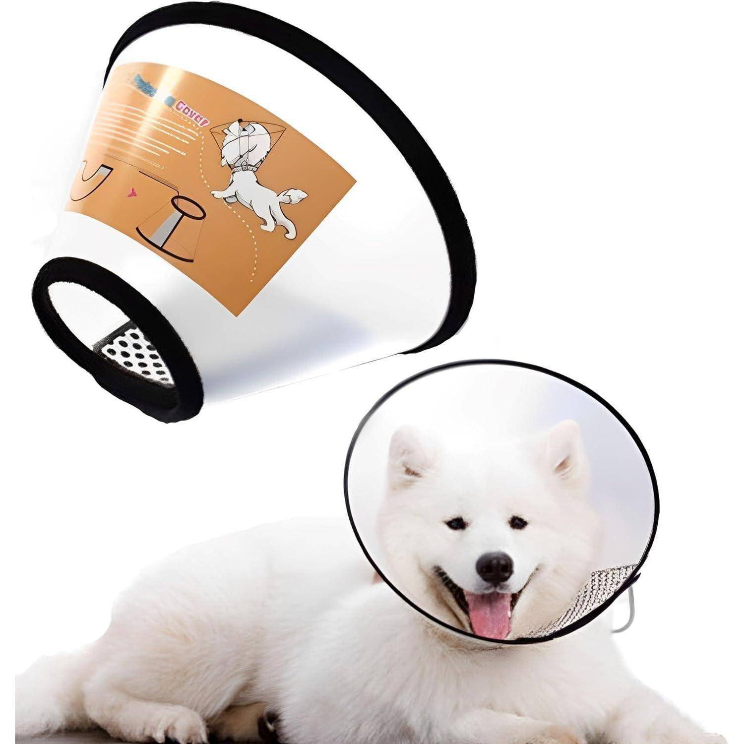 Ein flauschiger weißer Hund trägt einen Schutzkragen, während er liegt, um sicherzustellen, dass er keine Heilungswunden oder Nähte stört.
