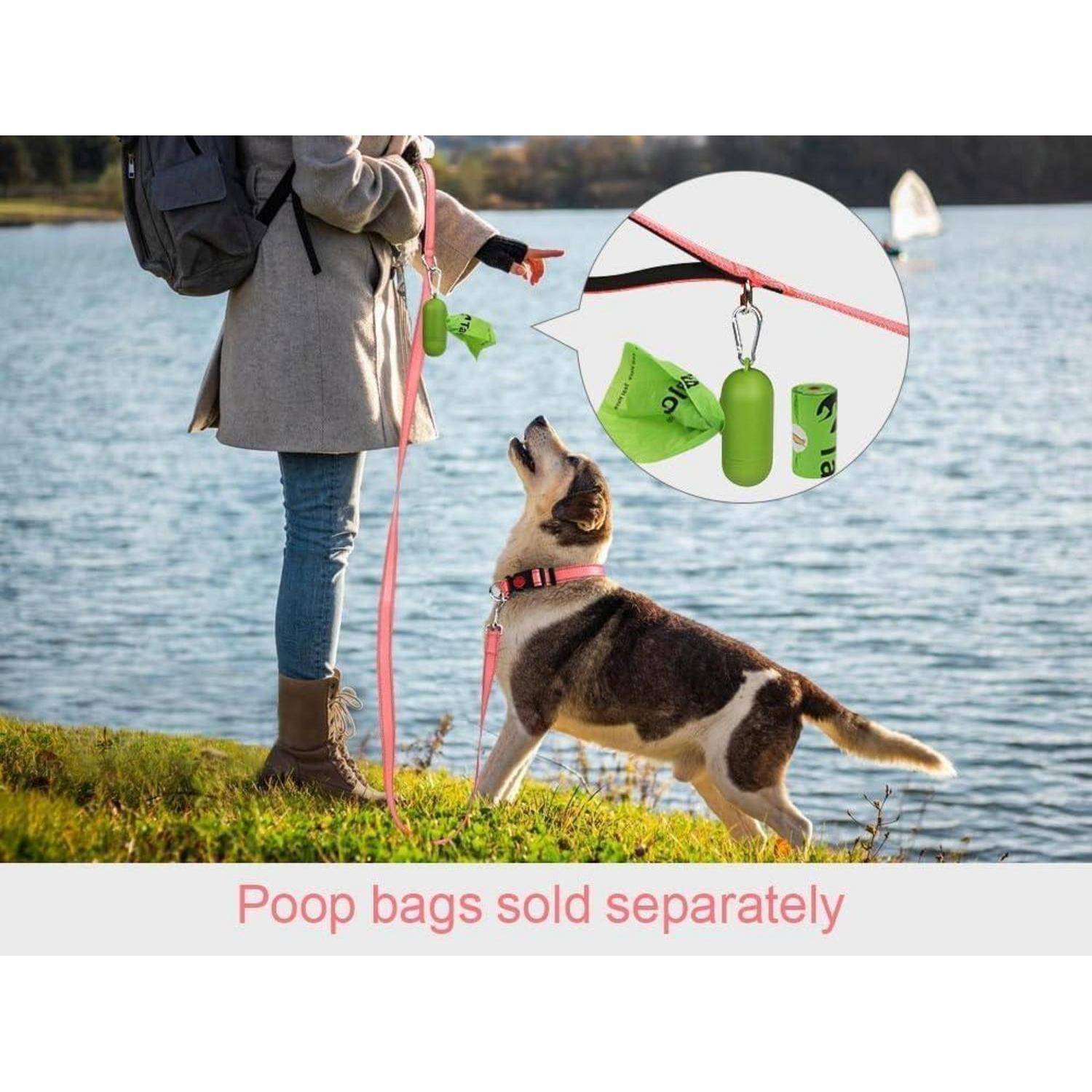 Eine Person hält eine Hundeleine an einem See, mit einem Hund, der auf einen Leckerbissen wartet. Einschub zeigt eine Leine mit einem Kotbeutelhalter. Text: 