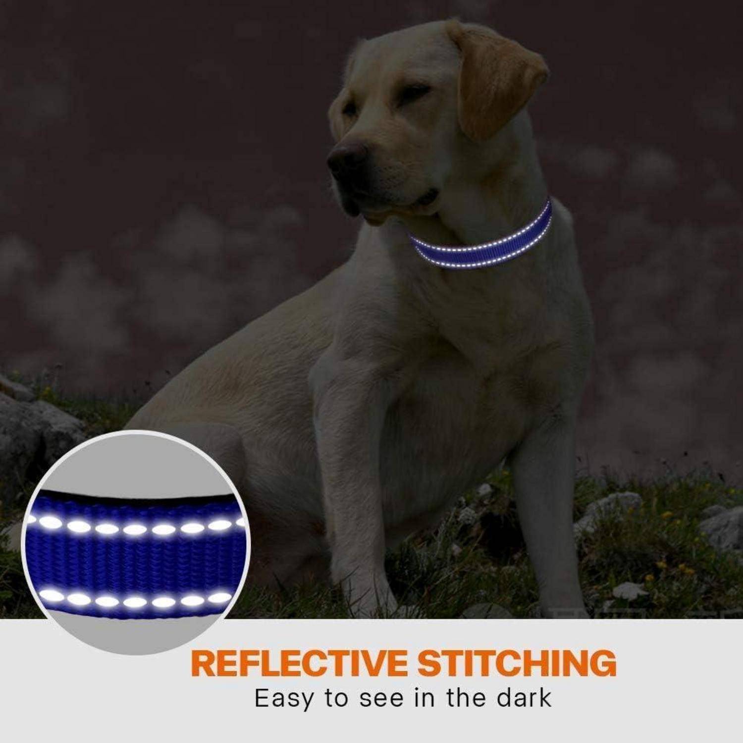 Hundehalsband Nylon verstellbar reflektierend S (25-40cm) Dunkelblau