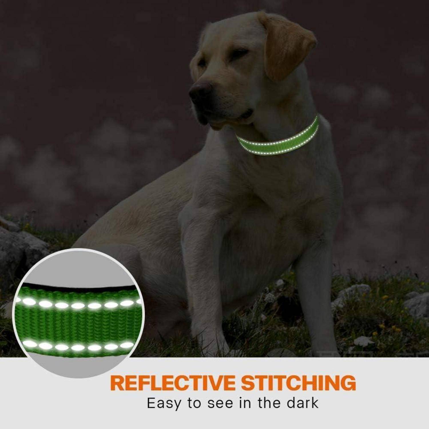 Hundehalsband Neopren Nylon reflektierend verstellbar M (35-50cm) Grün