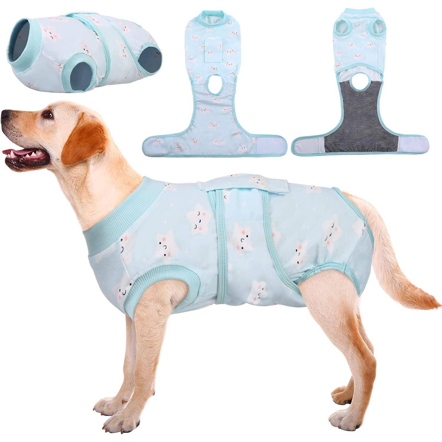 Ein gelber Hund trägt einen hellblauen Anzug mit weißen Mustern. Oben ist der Anzug flach ausgebreitet dargestellt, wobei sein Design und seine Befestigungen zu sehen sind.