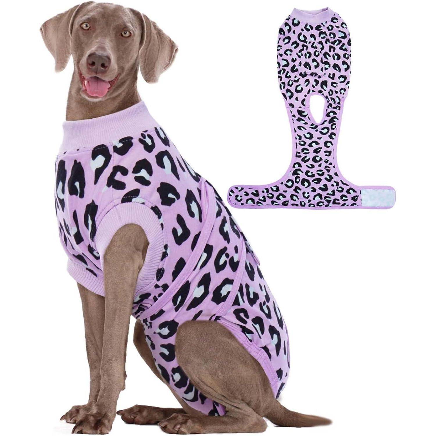 Ein Hund trägt einen eng anliegenden Einteiler im rosa und schwarzen Leopardenmuster und steht aufrecht. Eine Bildeinblendung zeigt das komplette Design des Einteilers.