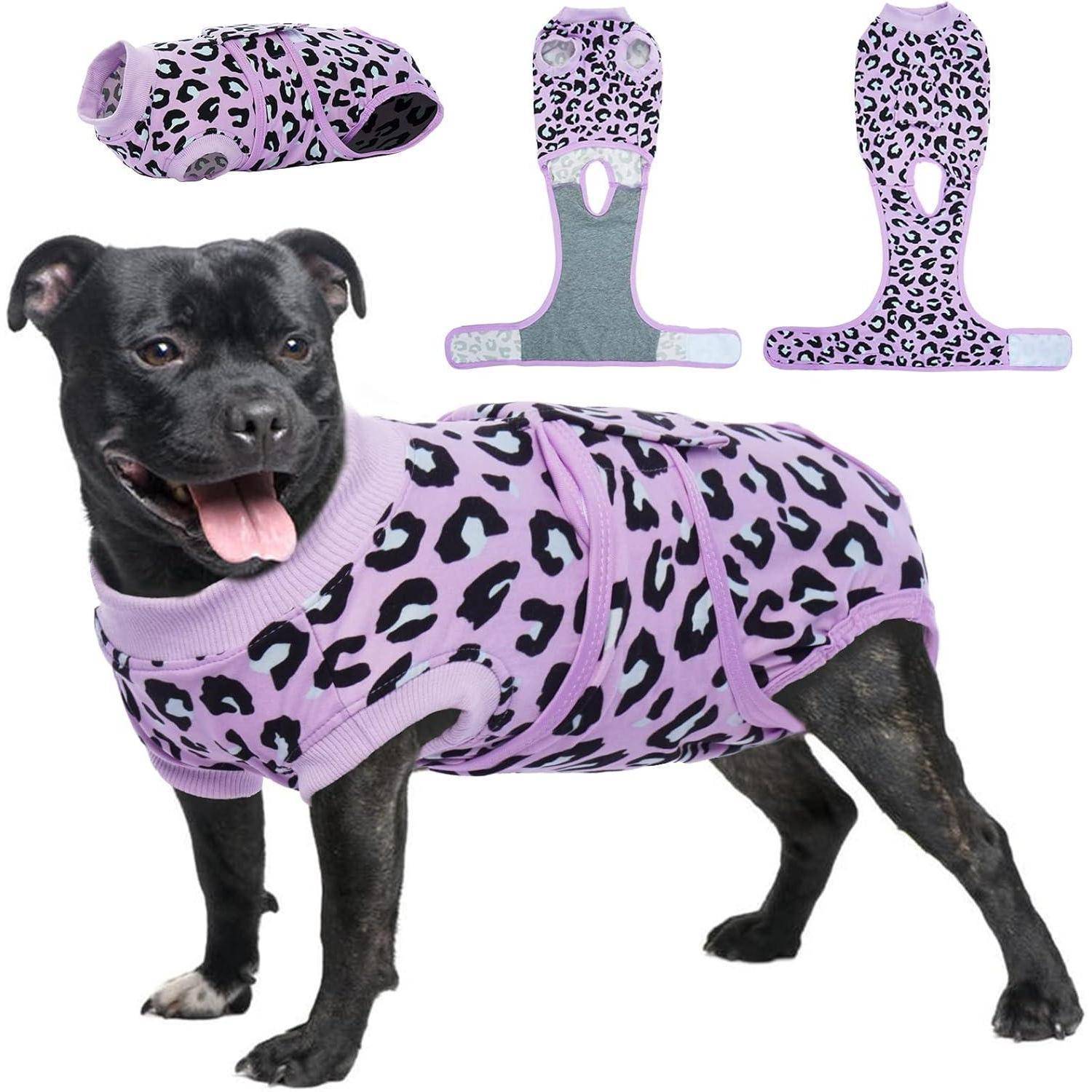 Ein Hund trägt einen lila und schwarzen Leoparden-Print-Pullover. Das Bild zeigt auch zwei Ansichten des Pullover-Vorder- und -Unterseite, die flach ausgebreitet liegen.