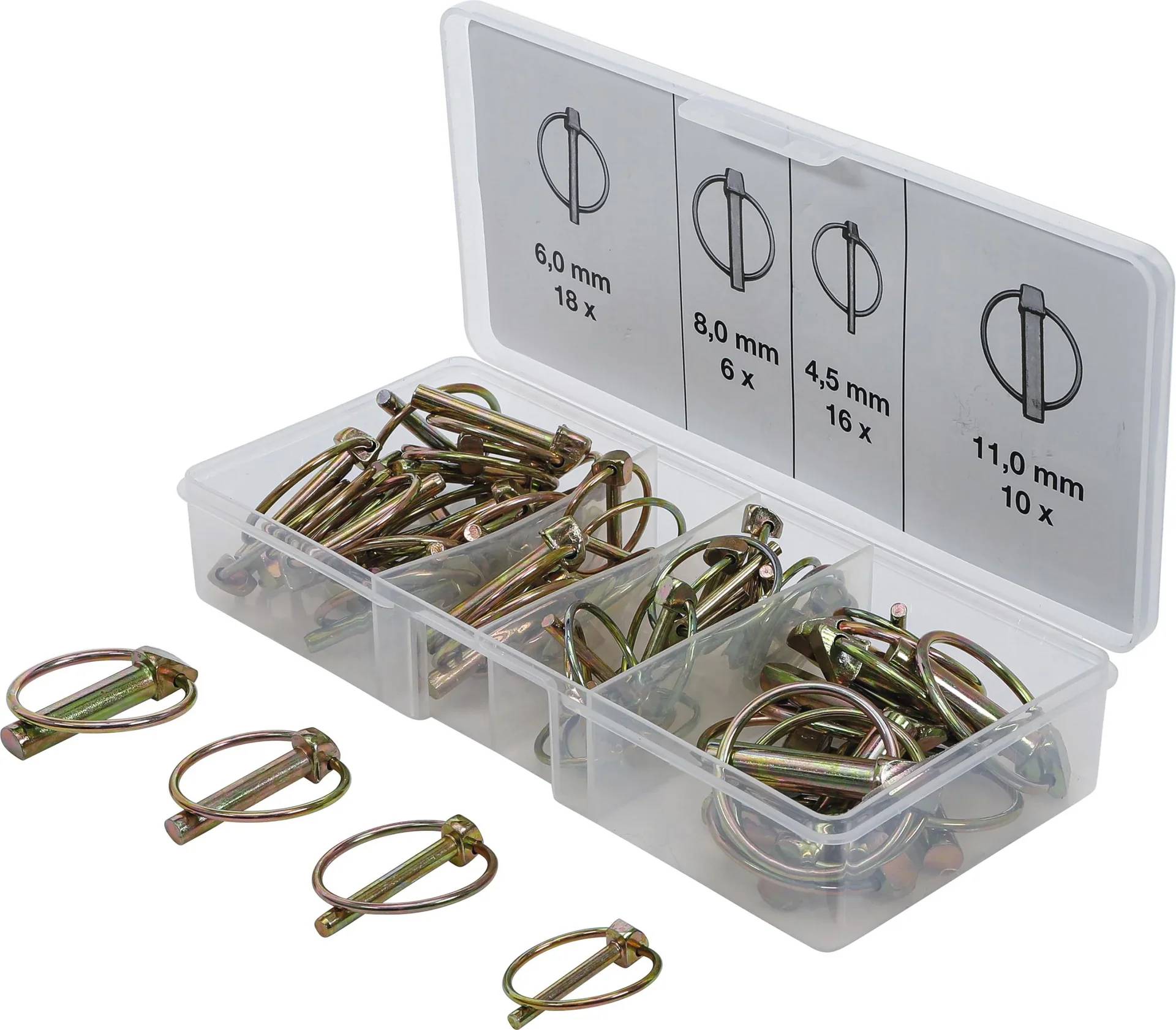 Klappsplinte-Sortiment, 50-tlg.