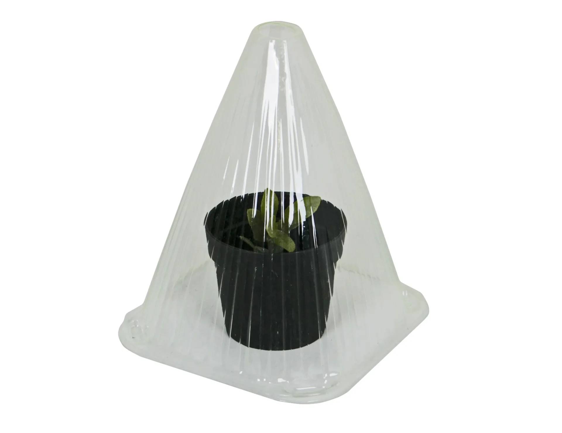 Gartenglocken für die Anzucht, 10 Stück