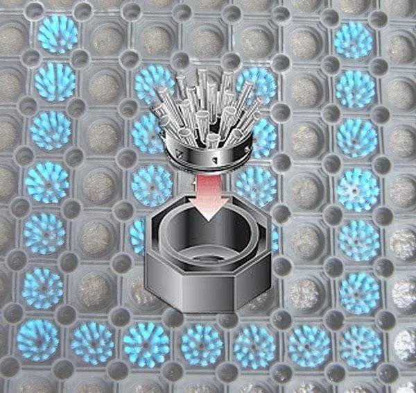 Einsatzbürsten für Gummi Ringmatte, 10er Satz, Farbe blau