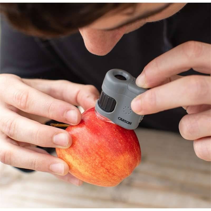 SINTRON Taschenmikroskop MM-380 MicroMini, 20x Vergrößerung, LED- und UV-Beleuchtung, Smartphone-Adapter