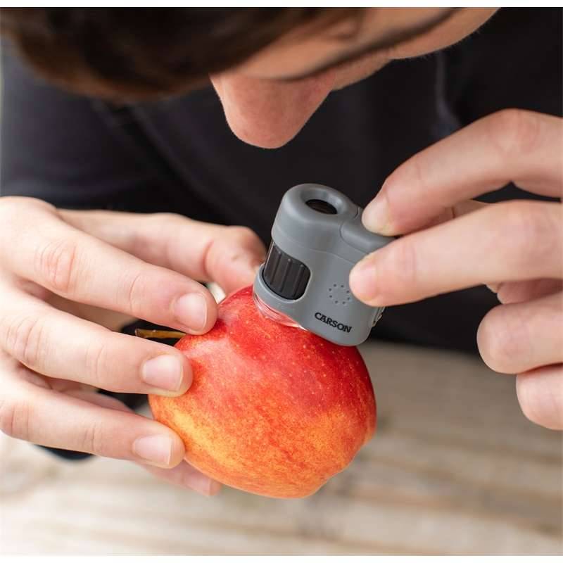 SINTRON Taschenmikroskop MM-380 MicroMini, 20x Vergrößerung, LED- und UV-Beleuchtung, Smartphone-Adapter