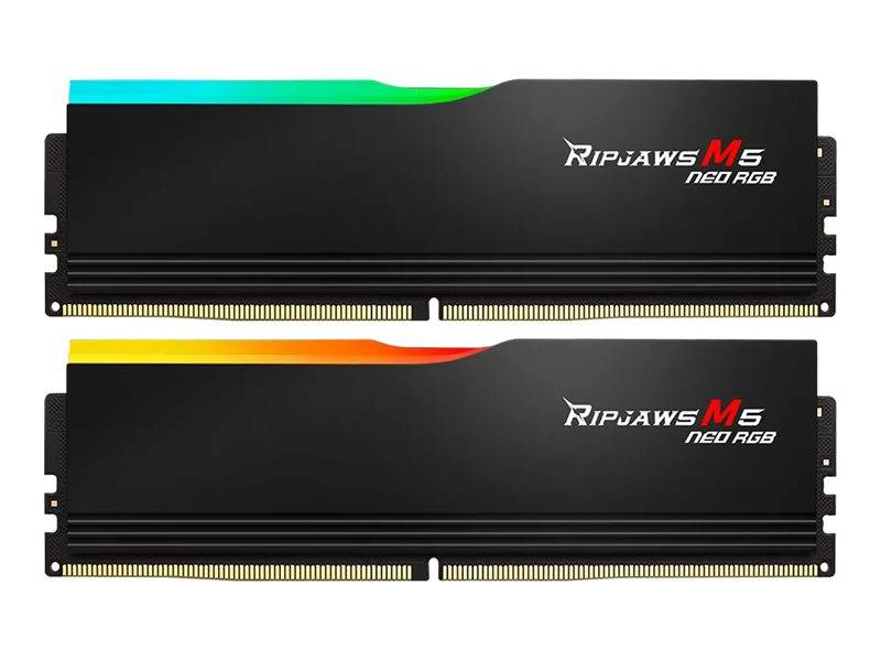 Zwei schwarze RAM-Riegel mit der Bezeichnung ‚Ripjaws M5 Neo Age', die einen bunten LED-Streifen auf der Oberseite tragen und für Arbeitsspeicher-Upgrades von Computern entwickelt sind.