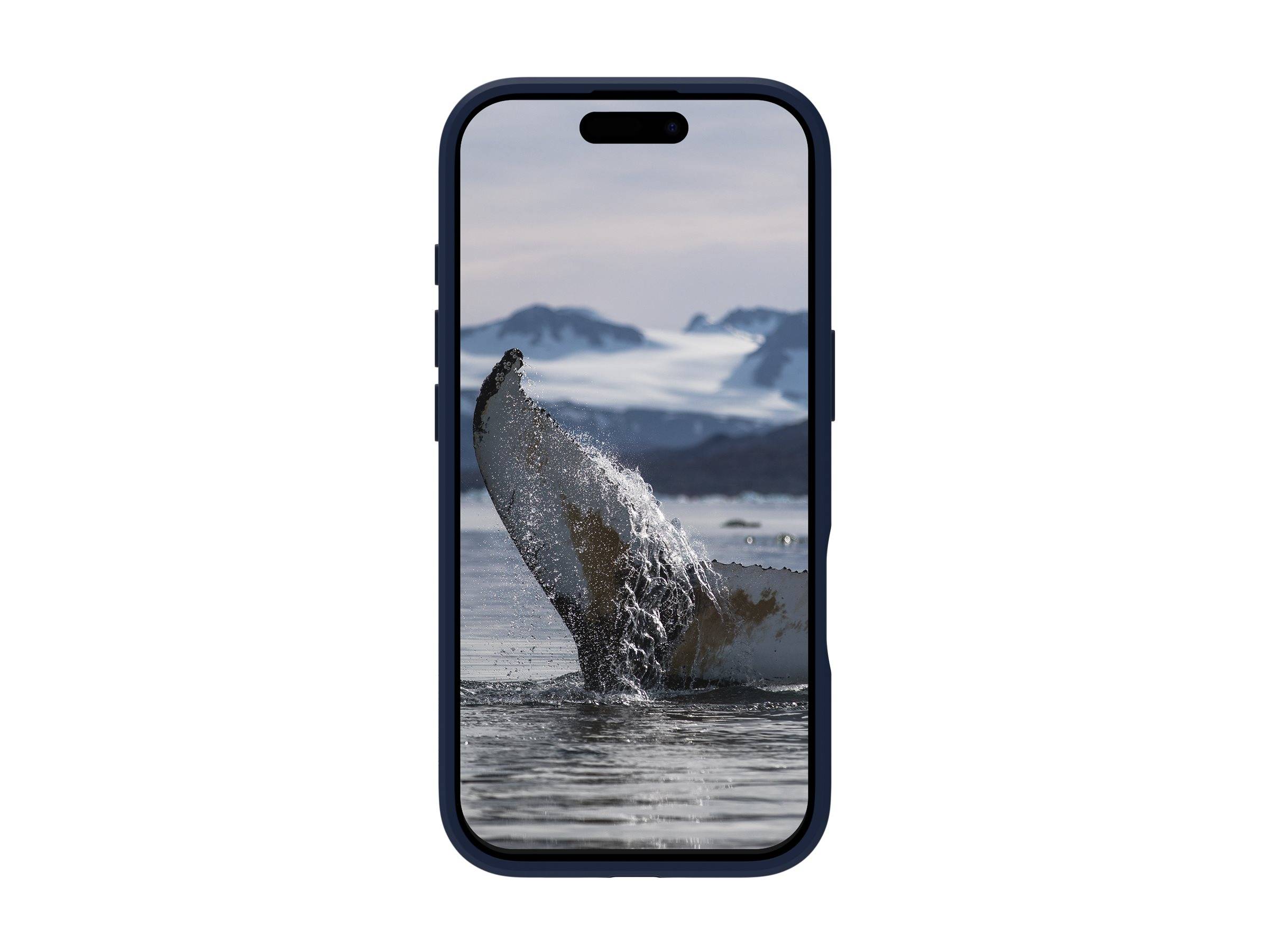 Ein Smartphone-Bildschirm zeigt ein Foto eines Walflossenschwanzes, der Wasser spritzt, während er in einem ruhigen Ozean abtaucht, mit schneebedeckten Bergen im Hintergrund.